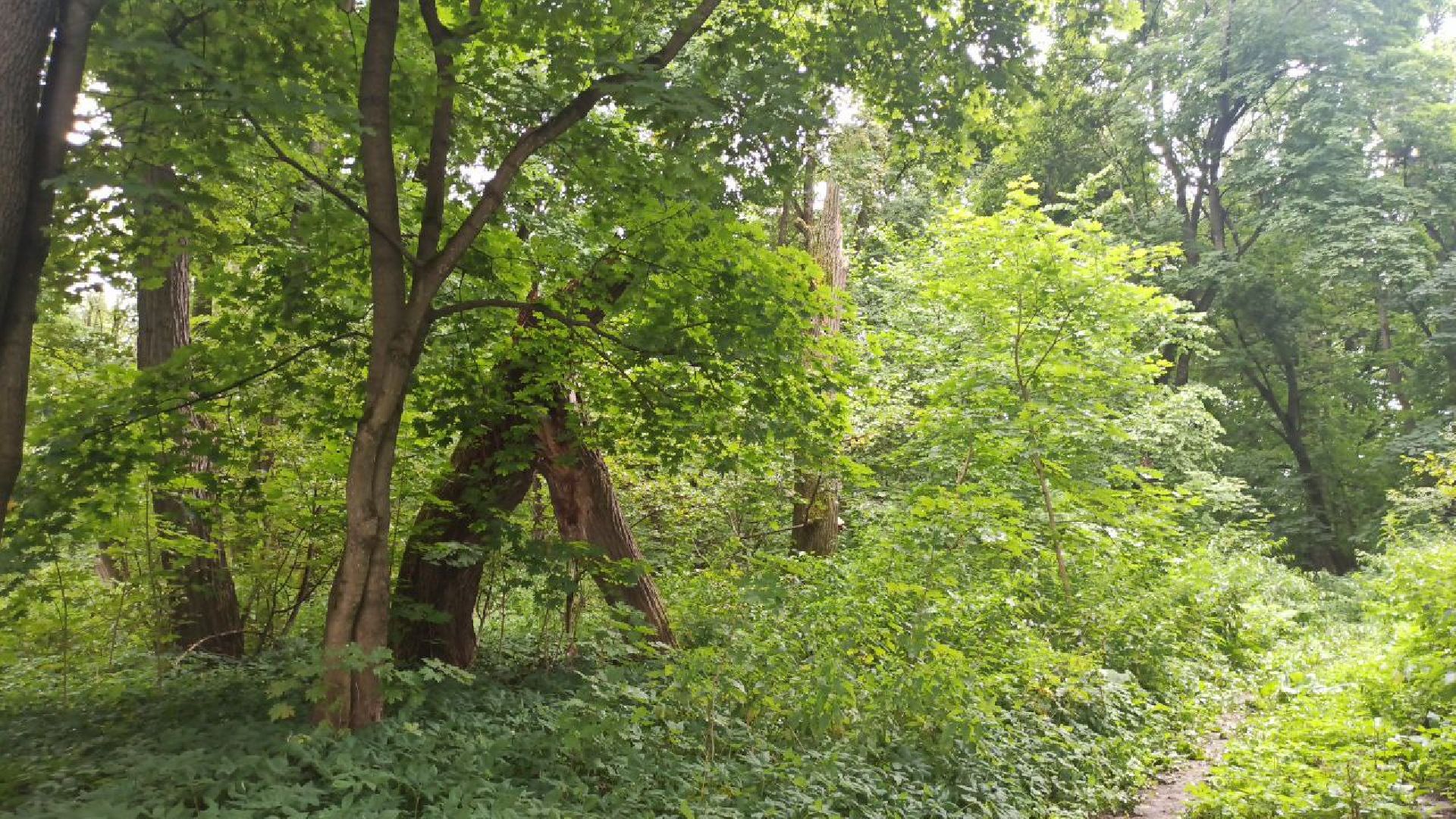 серпухов, деревня жерновка, ремонт колодца в деревне, выездная администрация,