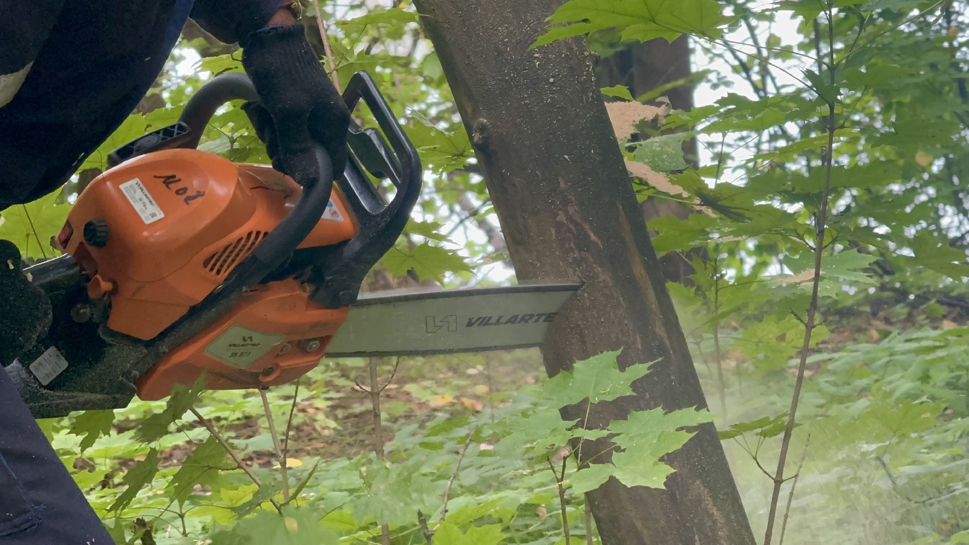 субботник, ленинский городской округ, таболовский пруд, акция вода россии,
