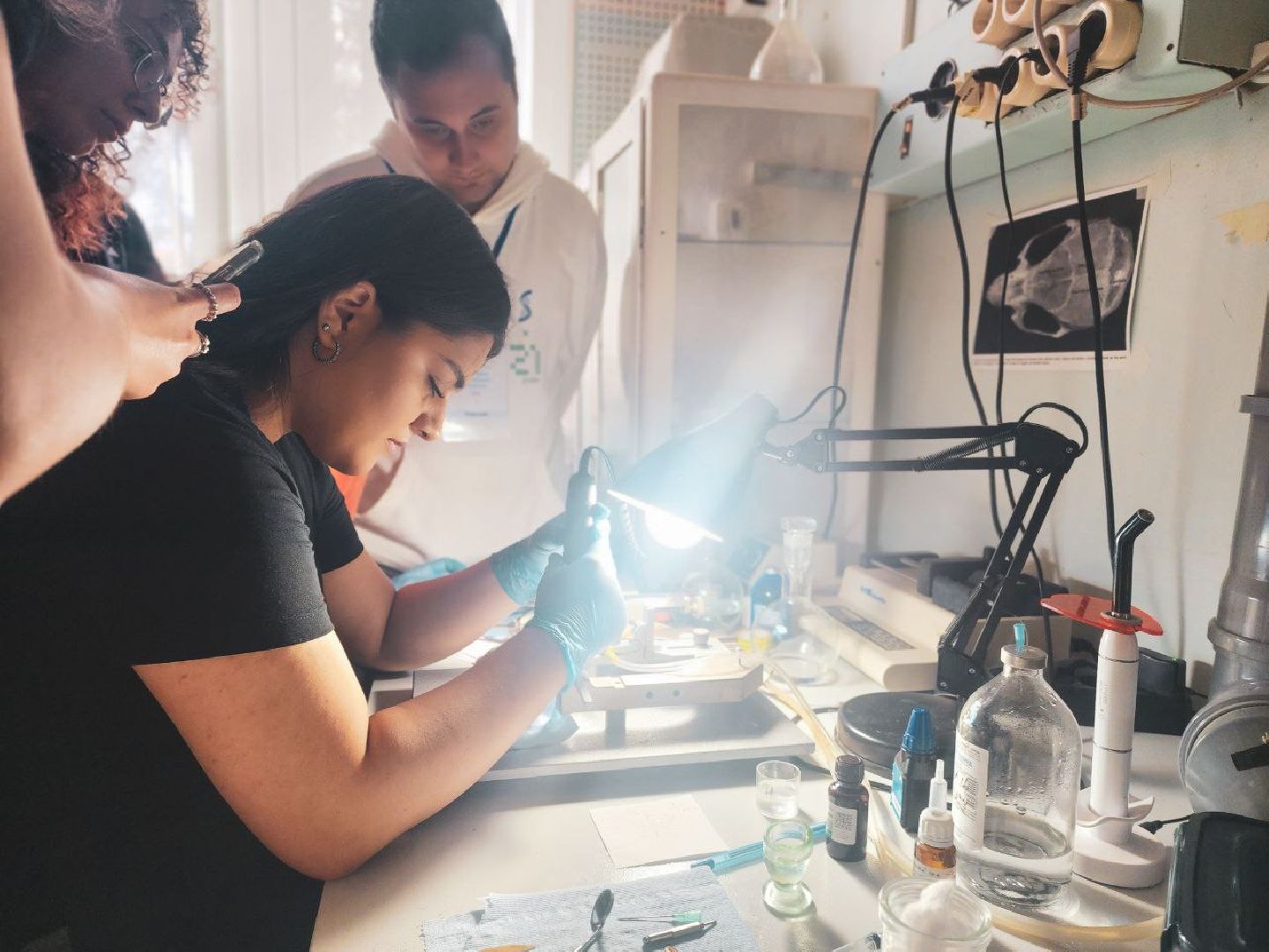 пущино, серпухов, наука, ученые,