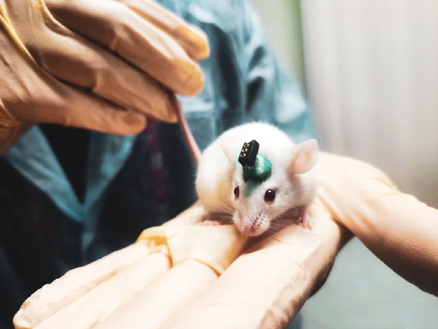 пущино, серпухов, наука, ученые,