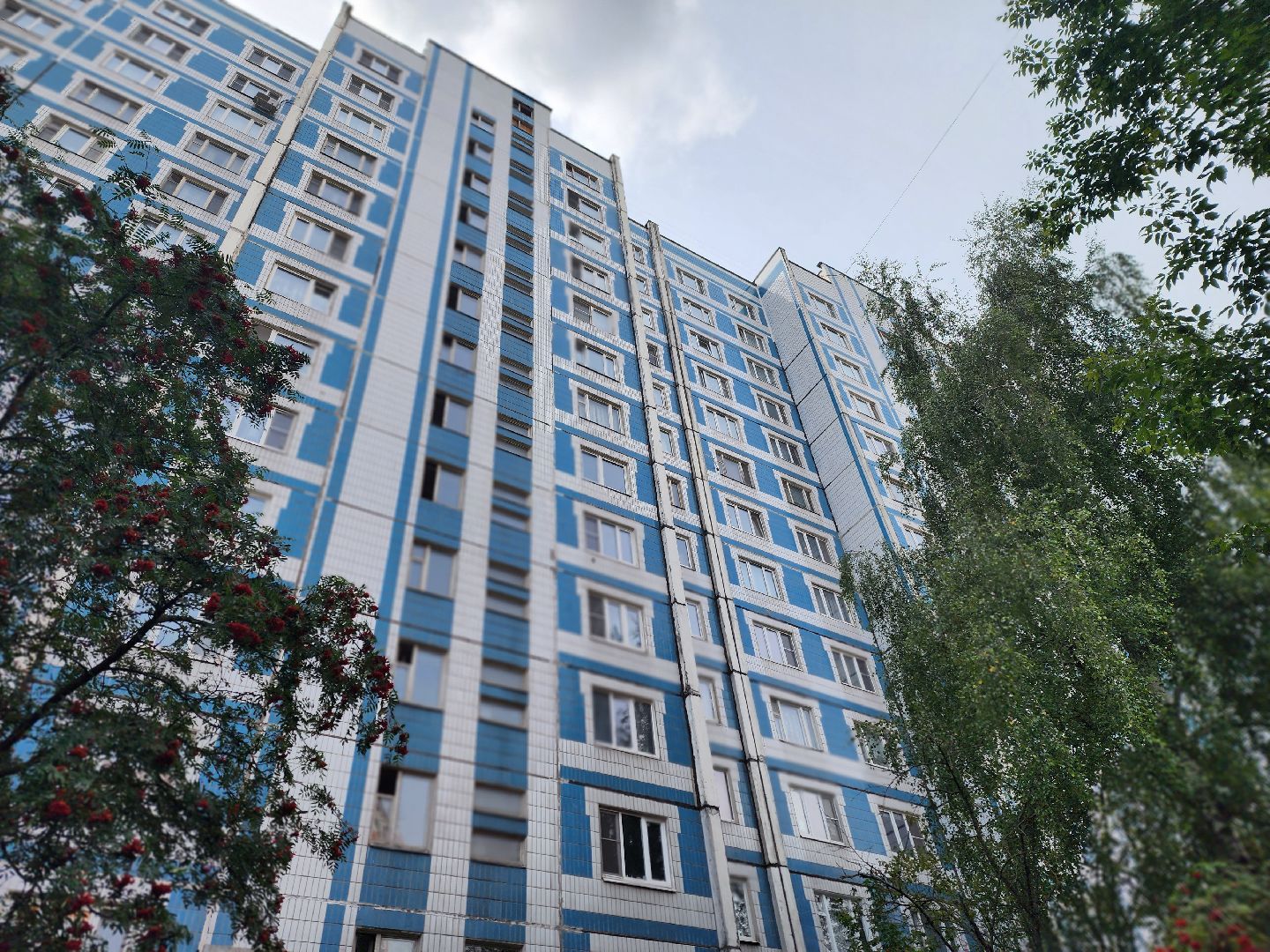 королёв, выездная администрация, техникум имени королева,