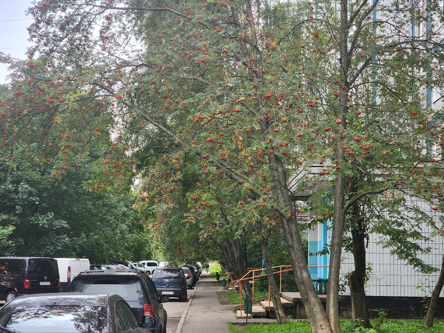 королёв, выездная администрация, техникум имени королева,