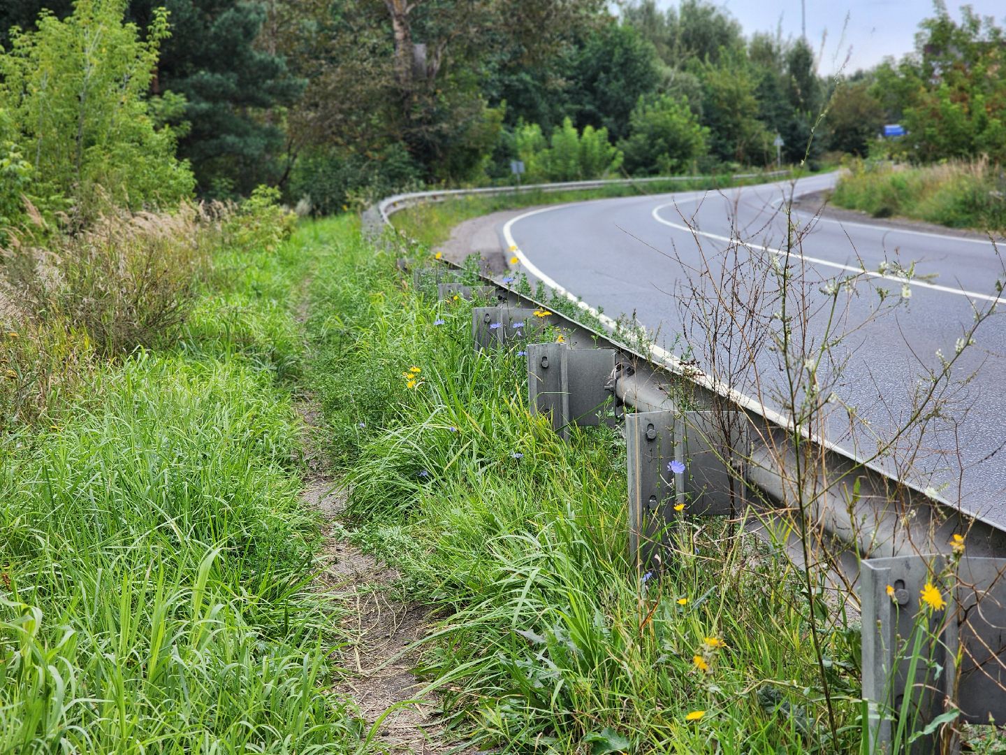выездная администрация,обращения жителей, прием населения, деревня ельня, богородский городской округ,