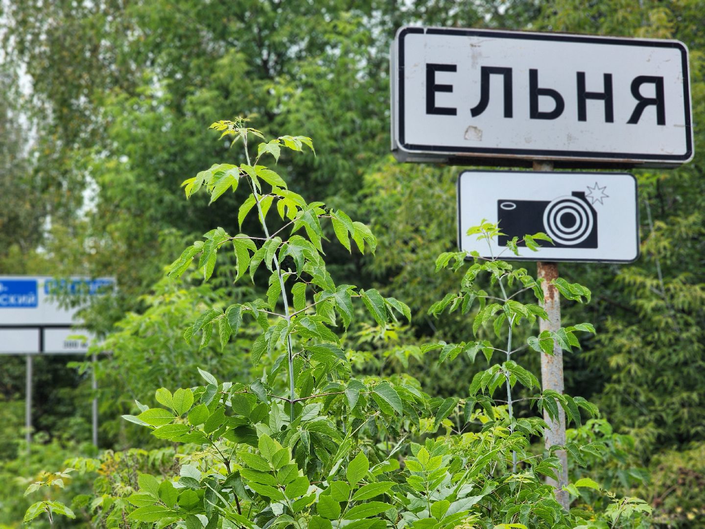 выездная администрация,обращения жителей, прием населения, деревня ельня, богородский городской округ,