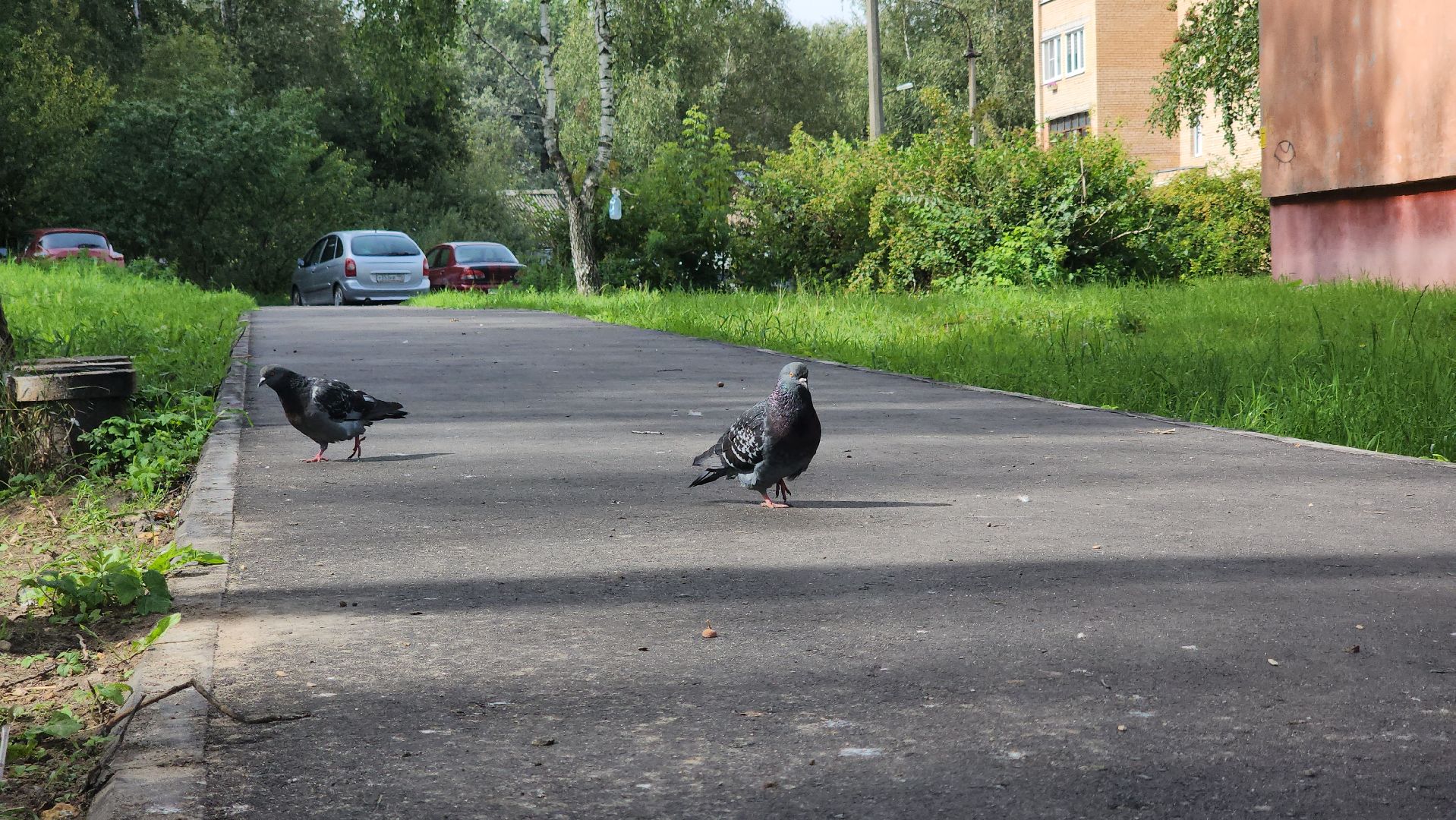 благоустройство , двор, комплексное благоустройство двора, фрязино,