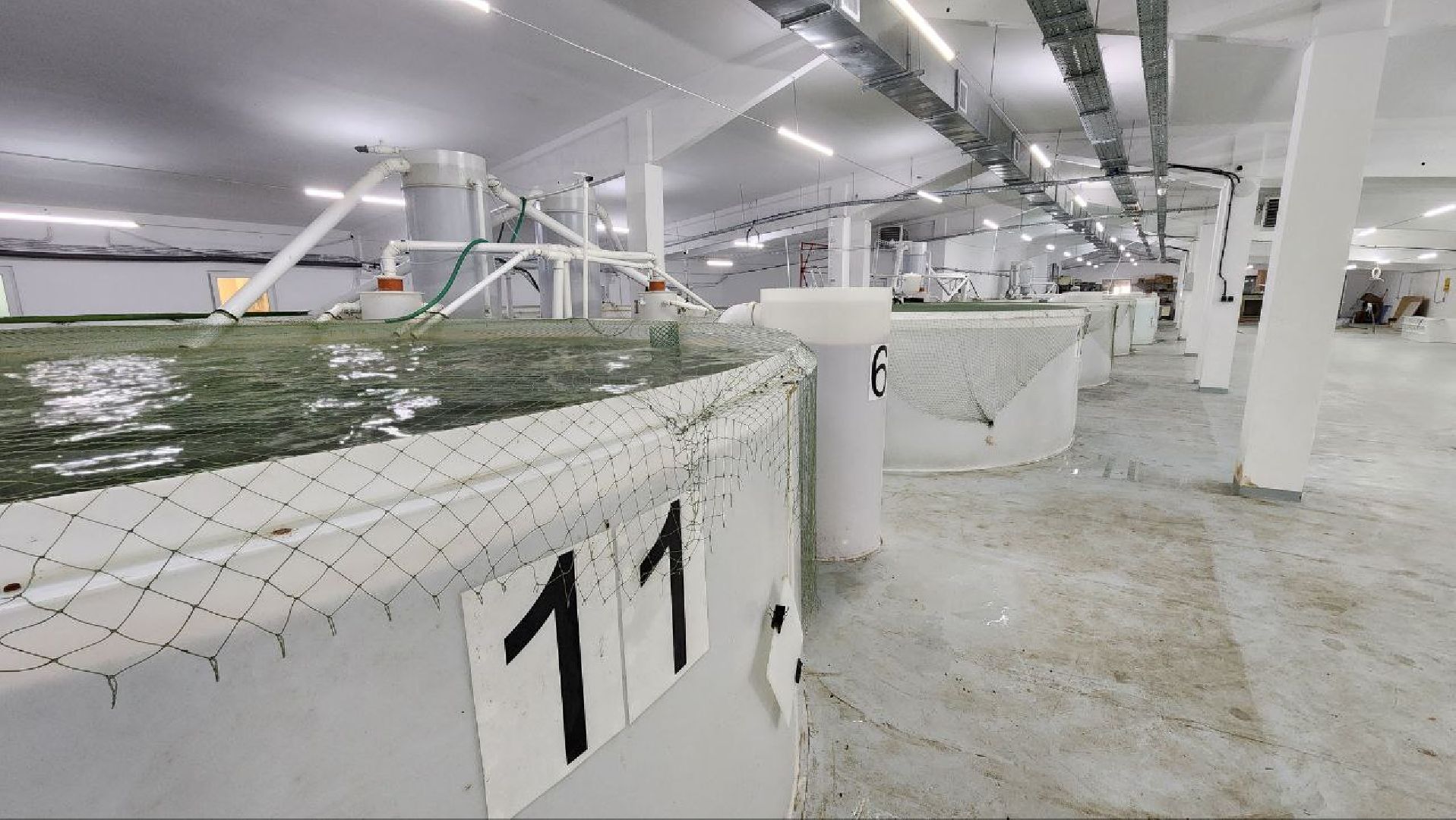 Дмитров, Эко-парк Рождествено,  КФХ Юрко, Минсельхоз, Агротуризм,