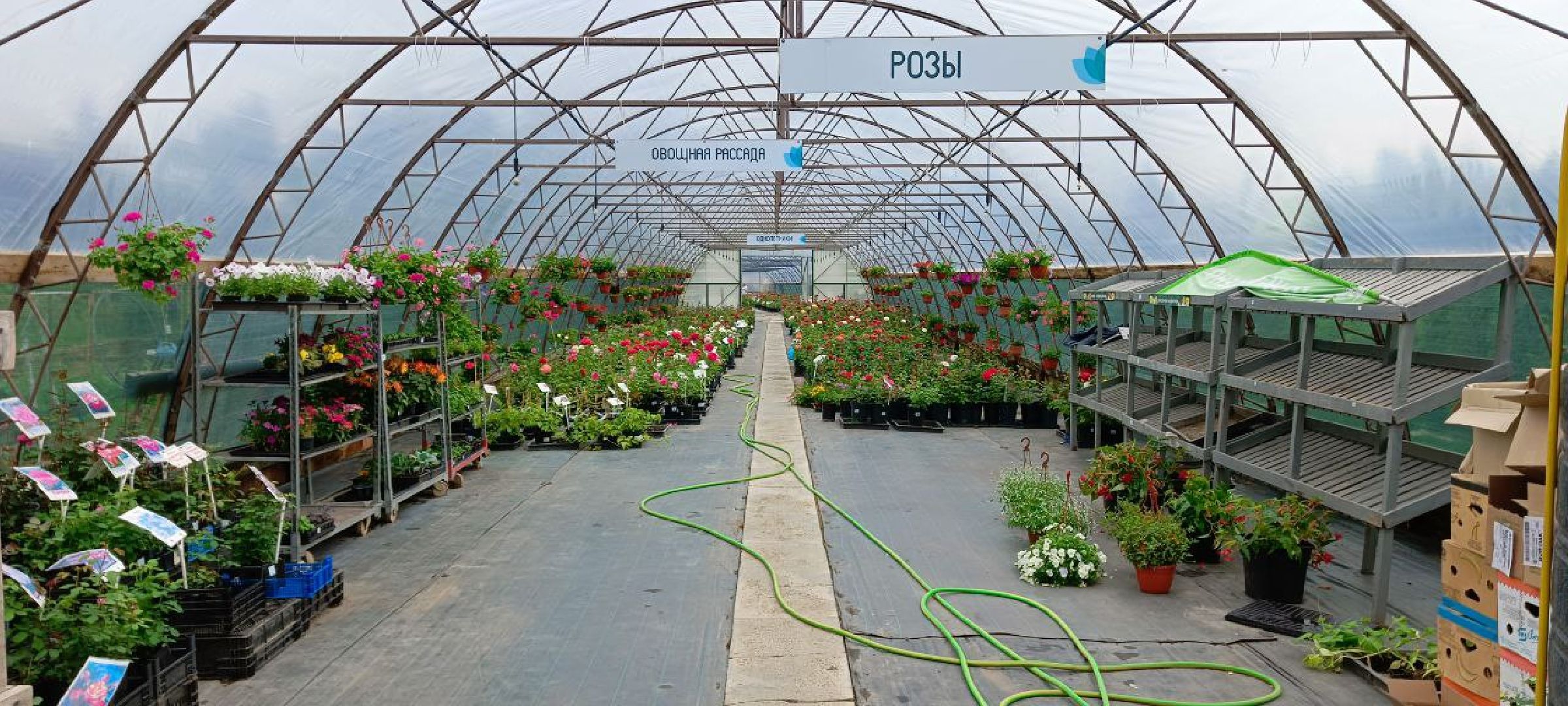 Дмитров, Эко-парк Рождествено,  КФХ Юрко, Минсельхоз, Агротуризм,