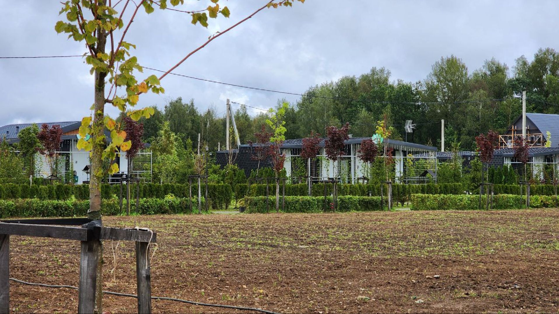 Дмитров, Эко-парк Рождествено,  КФХ Юрко, Минсельхоз, Агротуризм,