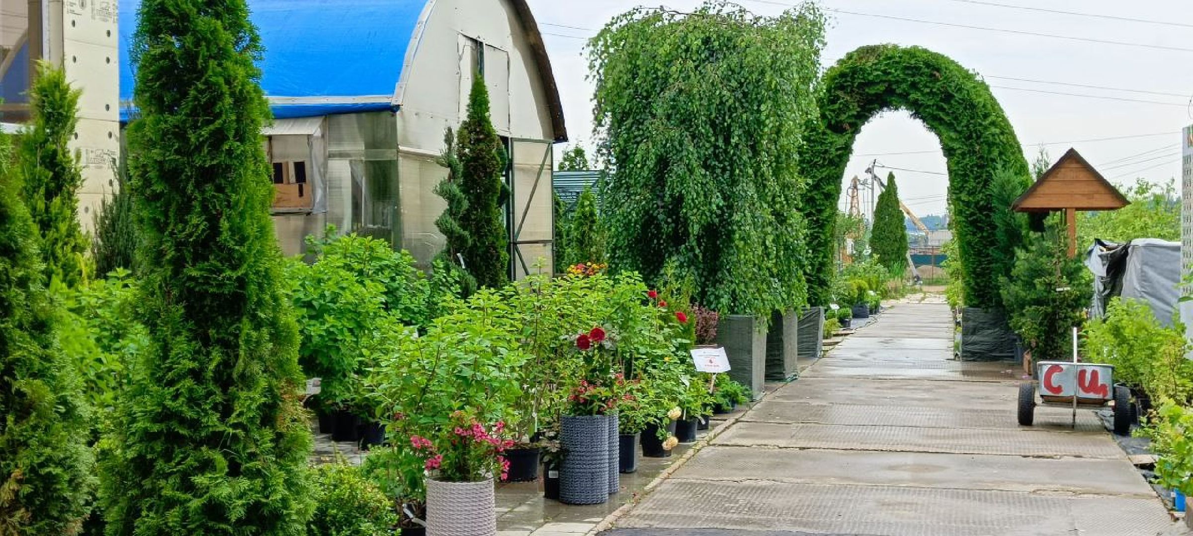 Дмитров, Эко-парк Рождествено,  КФХ Юрко, Минсельхоз, Агротуризм,