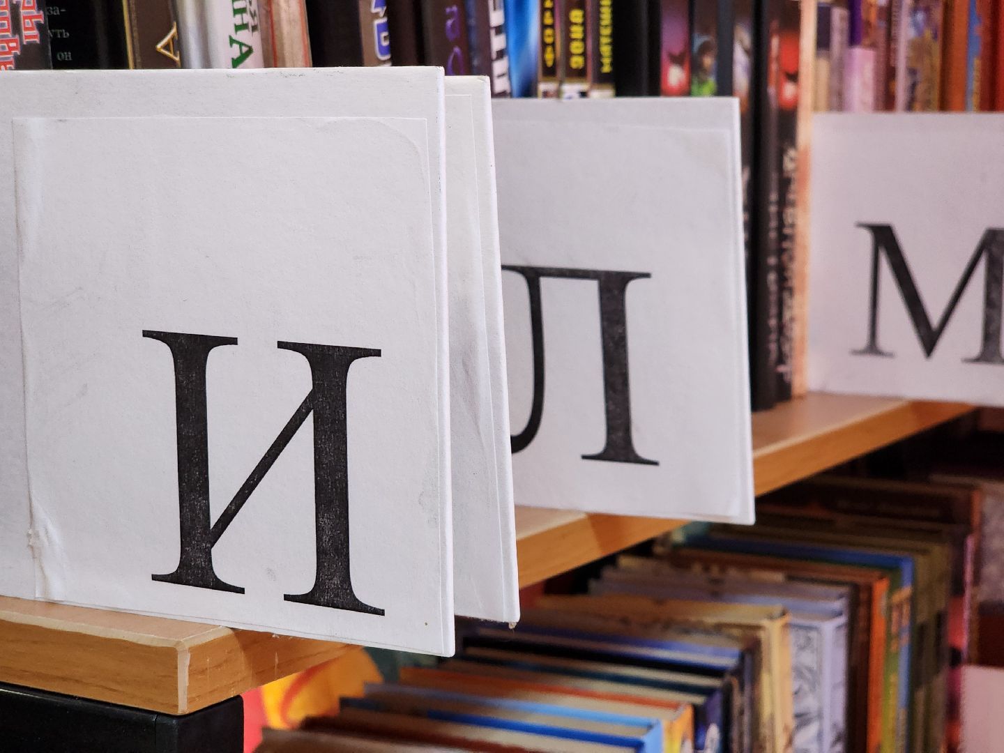 выездная администрация, прием граждан, благоустройство, деревня ельня, богородский городской округ,