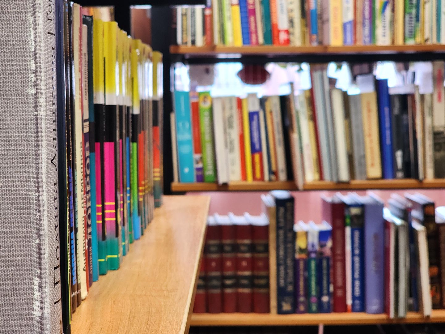 выездная администрация, прием граждан, благоустройство, деревня ельня, богородский городской округ,