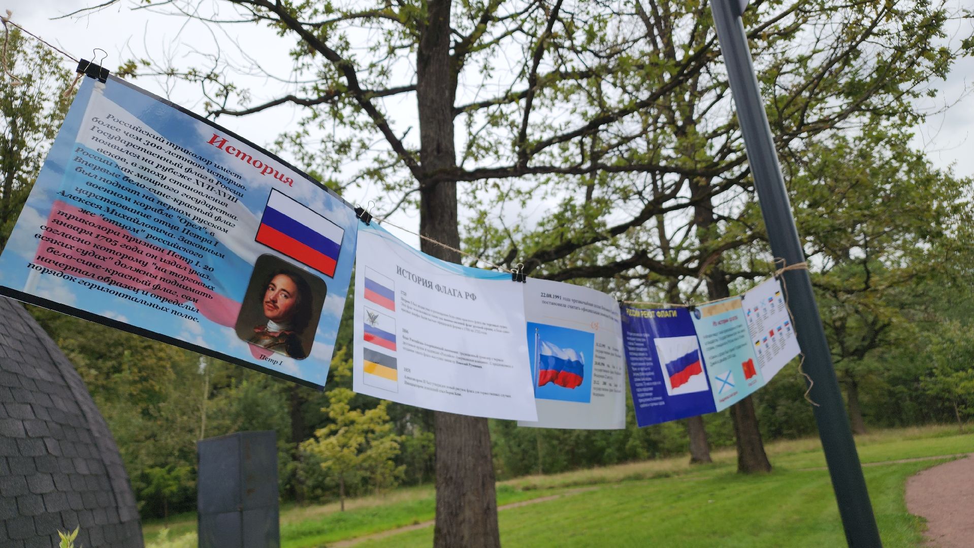 день государственного флага, флаг россии, фрязино,