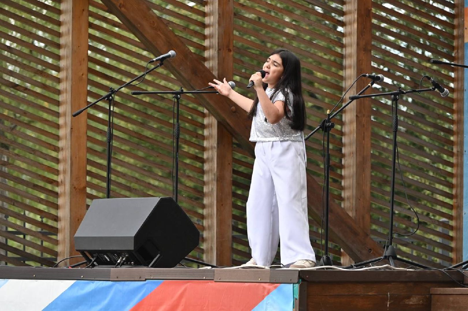 сергиев посад, сергиево-посадский городской округ, скитские пруды, парк скитские пруды, день  российского флага,
