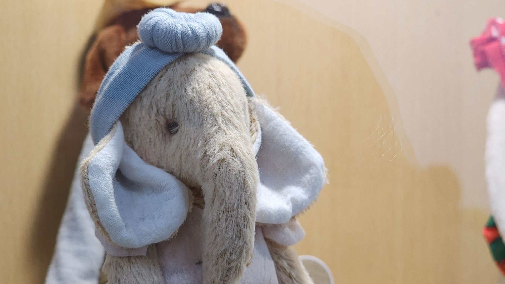 волоколамск, библиотека, день открытых дверей,