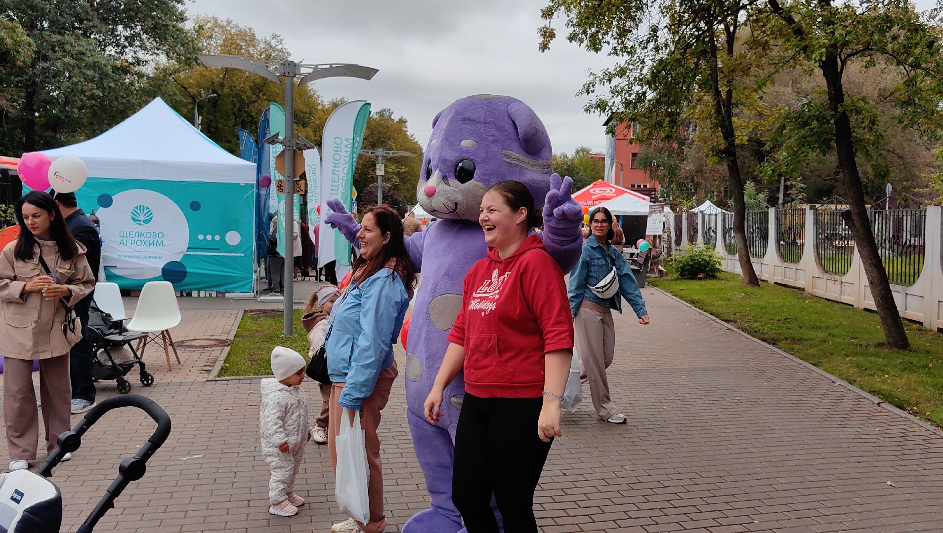день города, юбилей, верблюд, квест,