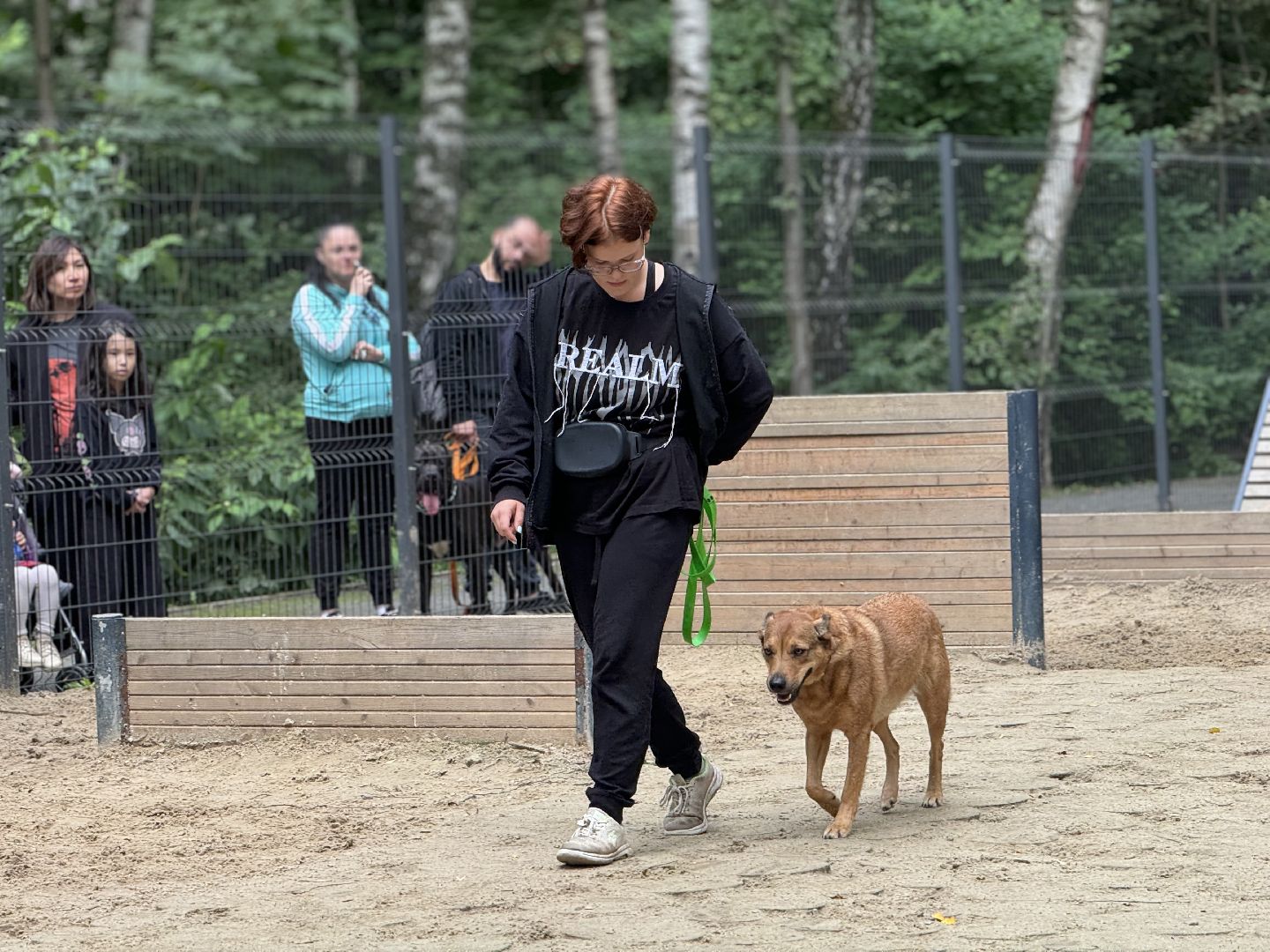 фестиваль животных , ленинский городской округ, соревнования собак, мастер класс,