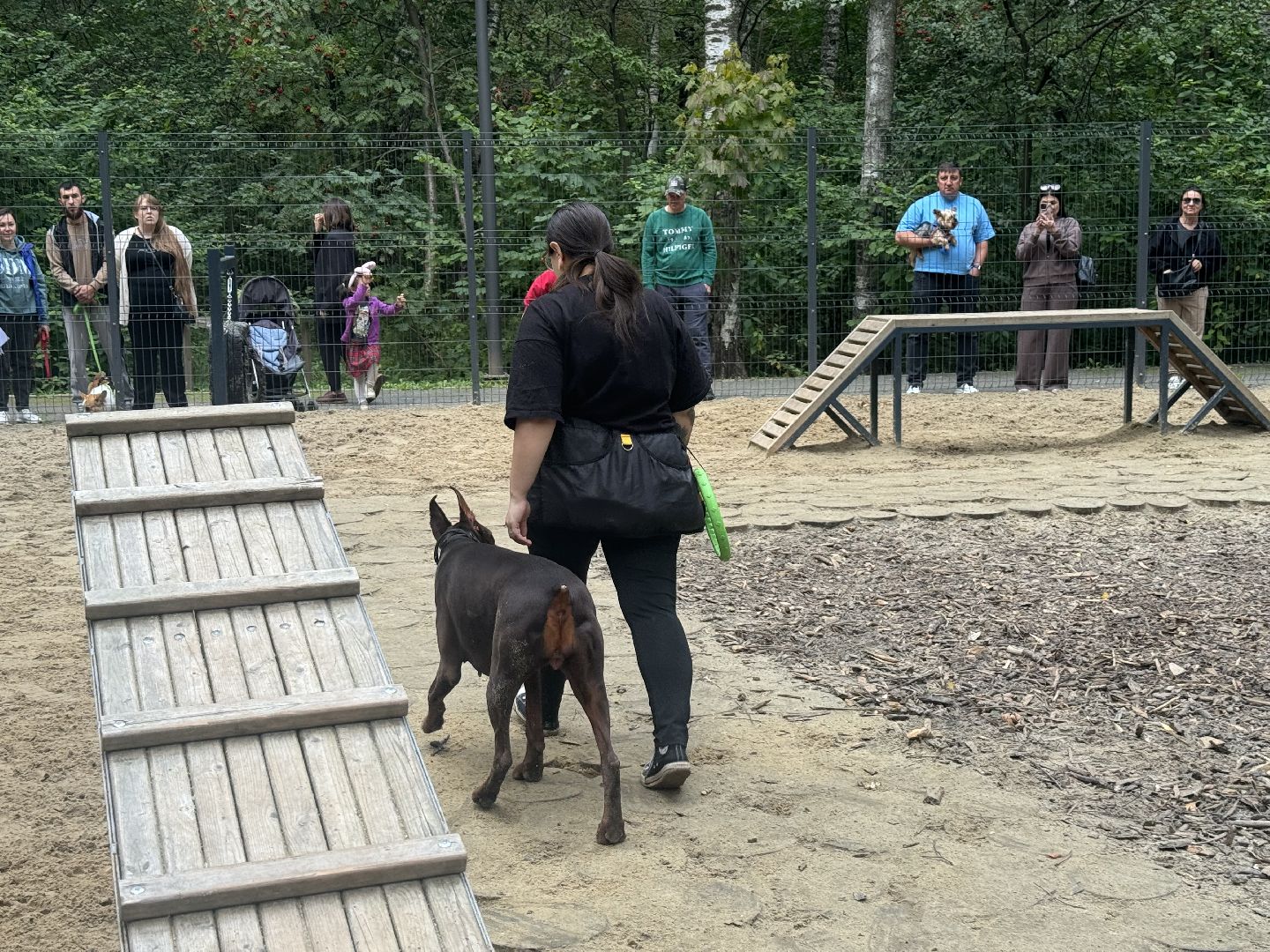 фестиваль животных , ленинский городской округ, соревнования собак, мастер класс,