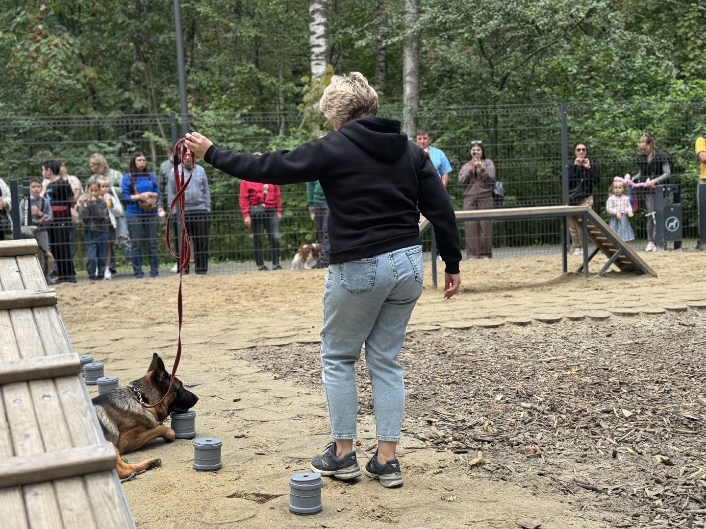 фестиваль животных , ленинский городской округ, соревнования собак, мастер класс,