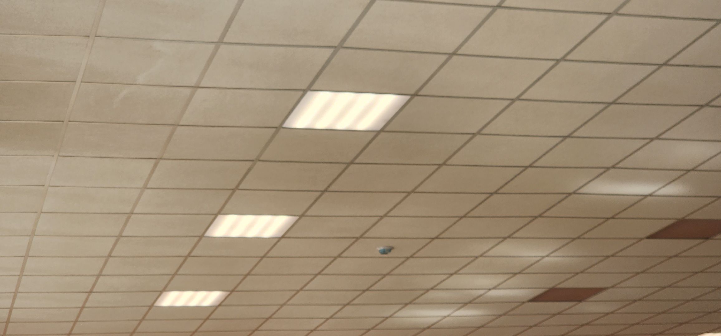 долгопрудный, школы, капремонт, робот-мойщик, благоустройство пришкольной территории,  фасад, цоколь, парты,