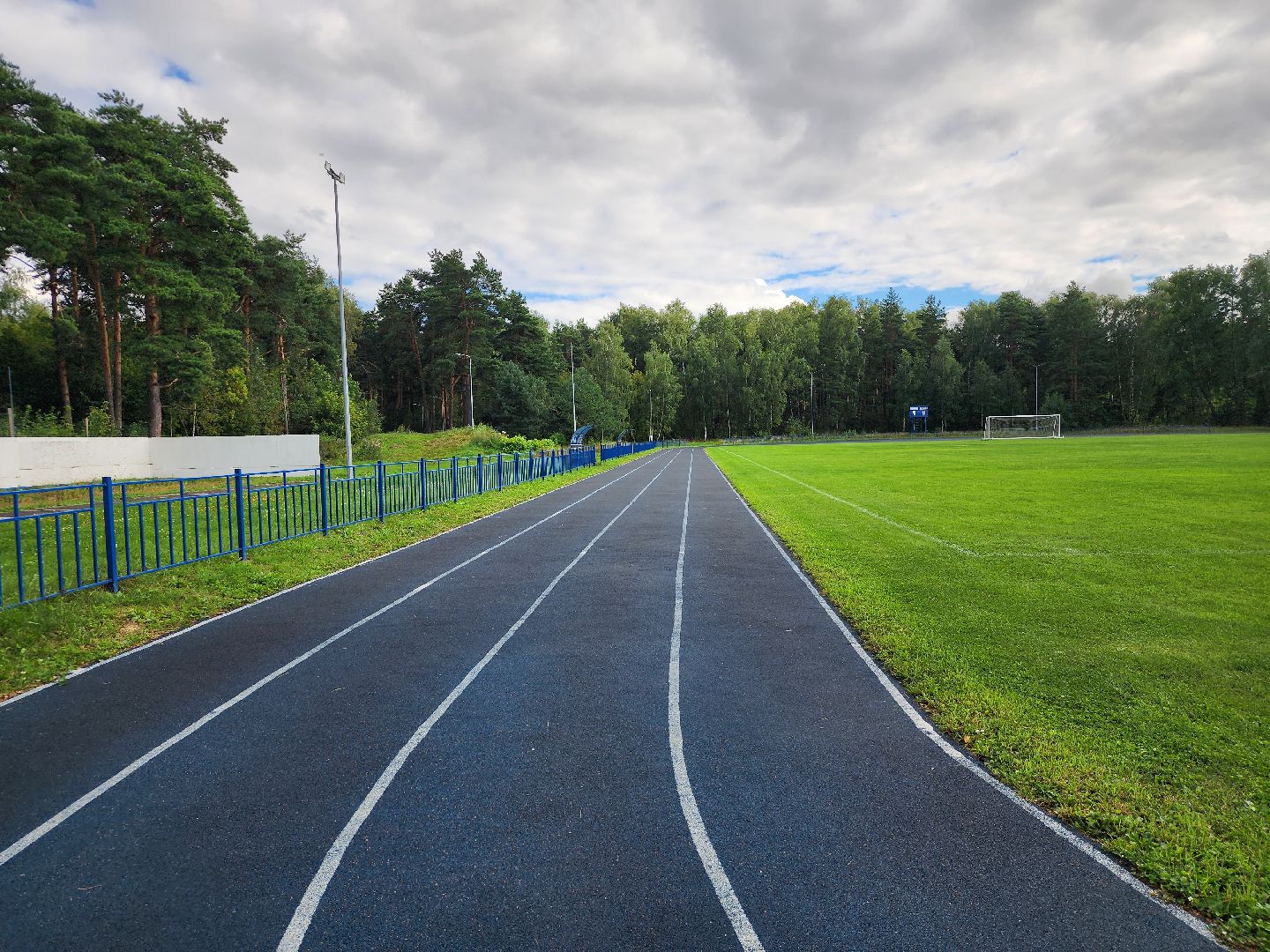 министерство спорта московской области, места для занятия спортом,  стадион, старая купавна, богородский городской округ,