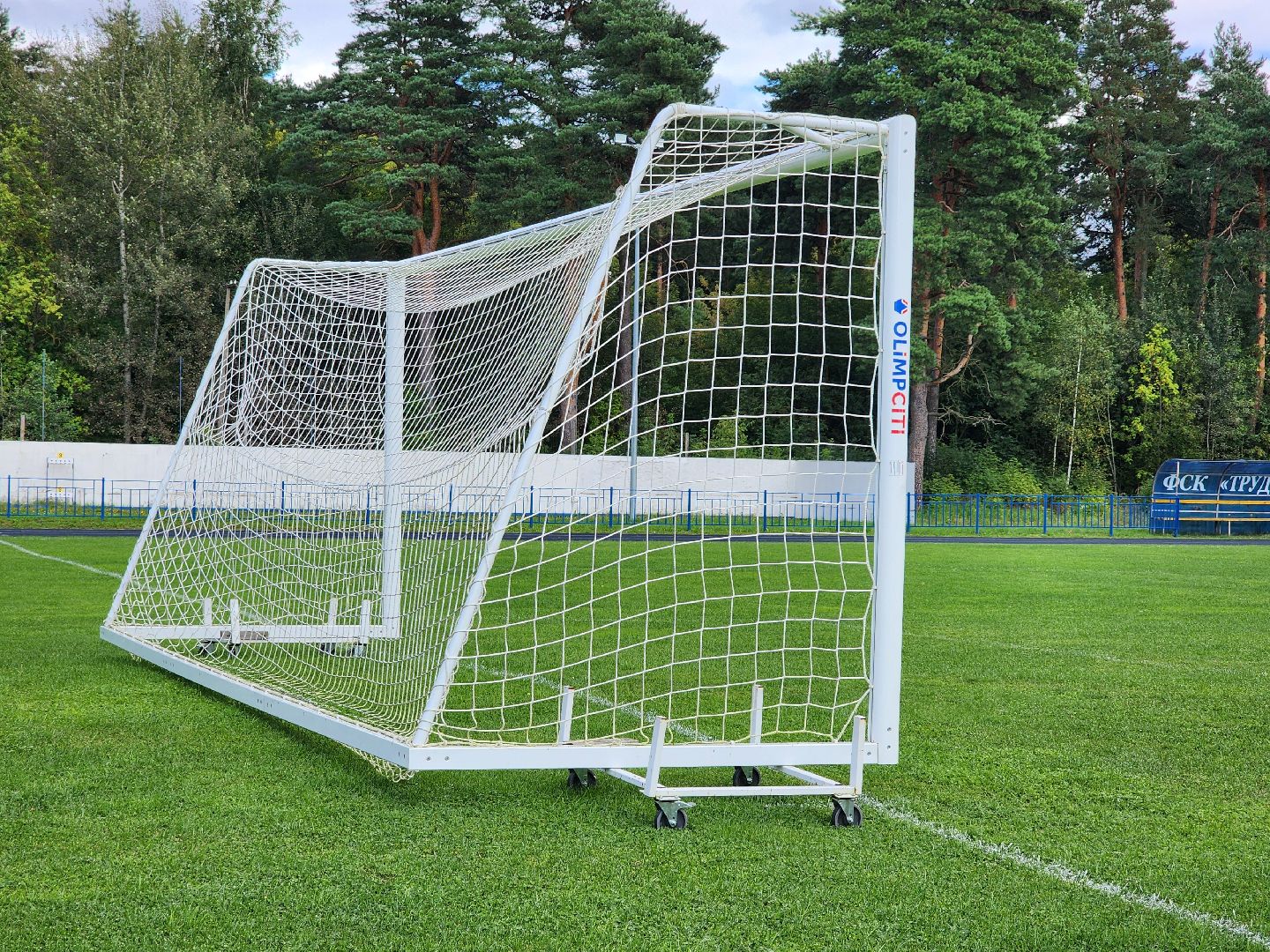 министерство спорта московской области, места для занятия спортом,  стадион, старая купавна, богородский городской округ,