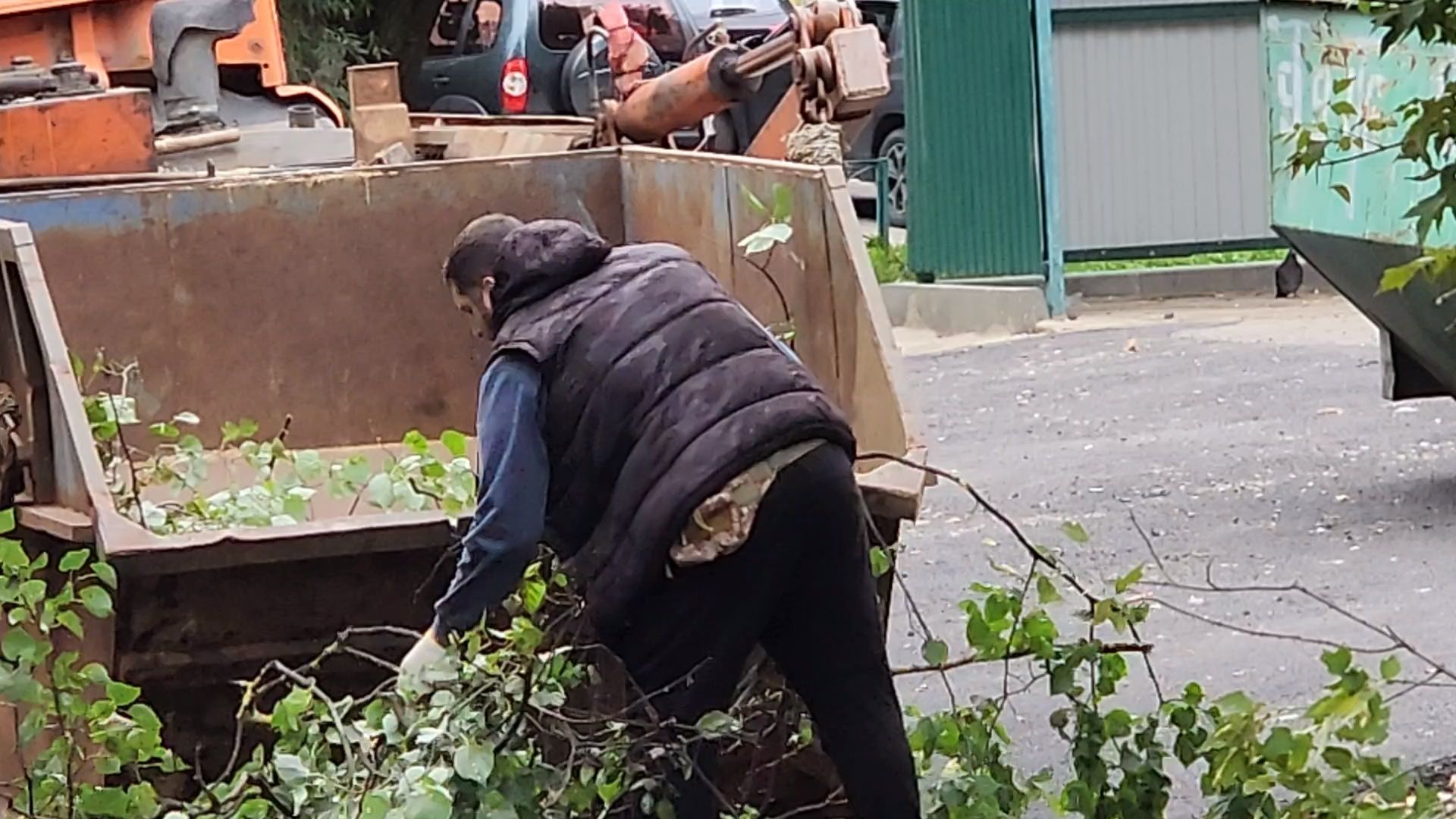 чехов, улица ильича, опиловка деревьев, уборка и вывоз веток,  содержание территории, мбу чеховское благоустройство, заявки жителей, портал добродел, весенне-летний сезон, содержание дорог и дворов, спецтехника, удаление сухостойных деревьев, удаление аварийных деревьев,уборка территории,