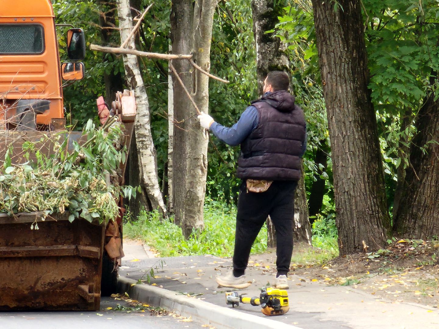 чехов, улица ильича, опиловка деревьев, уборка и вывоз веток,  содержание территории, мбу чеховское благоустройство, заявки жителей, портал добродел, весенне-летний сезон, содержание дорог и дворов, спецтехника, удаление сухостойных деревьев, удаление аварийных деревьев,уборка территории,