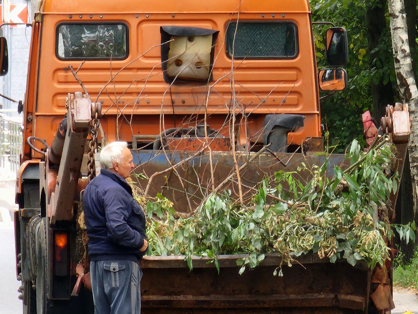 чехов, улица ильича, опиловка деревьев, уборка и вывоз веток,  содержание территории, мбу чеховское благоустройство, заявки жителей, портал добродел, весенне-летний сезон, содержание дорог и дворов, спецтехника, удаление сухостойных деревьев, удаление аварийных деревьев,уборка территории,
