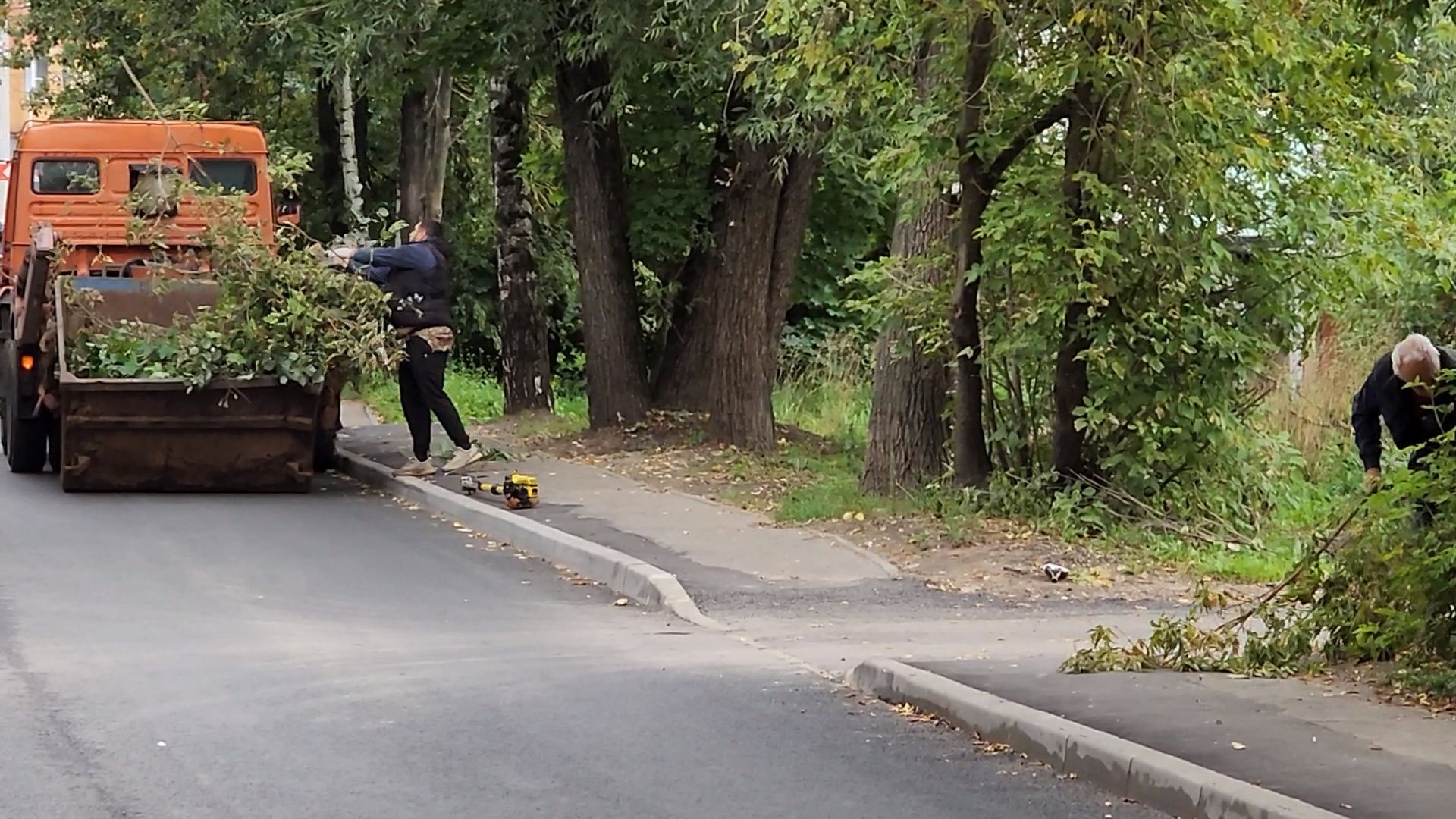 чехов, улица ильича, опиловка деревьев, уборка и вывоз веток,  содержание территории, мбу чеховское благоустройство, заявки жителей, портал добродел, весенне-летний сезон, содержание дорог и дворов, спецтехника, удаление сухостойных деревьев, удаление аварийных деревьев,уборка территории,