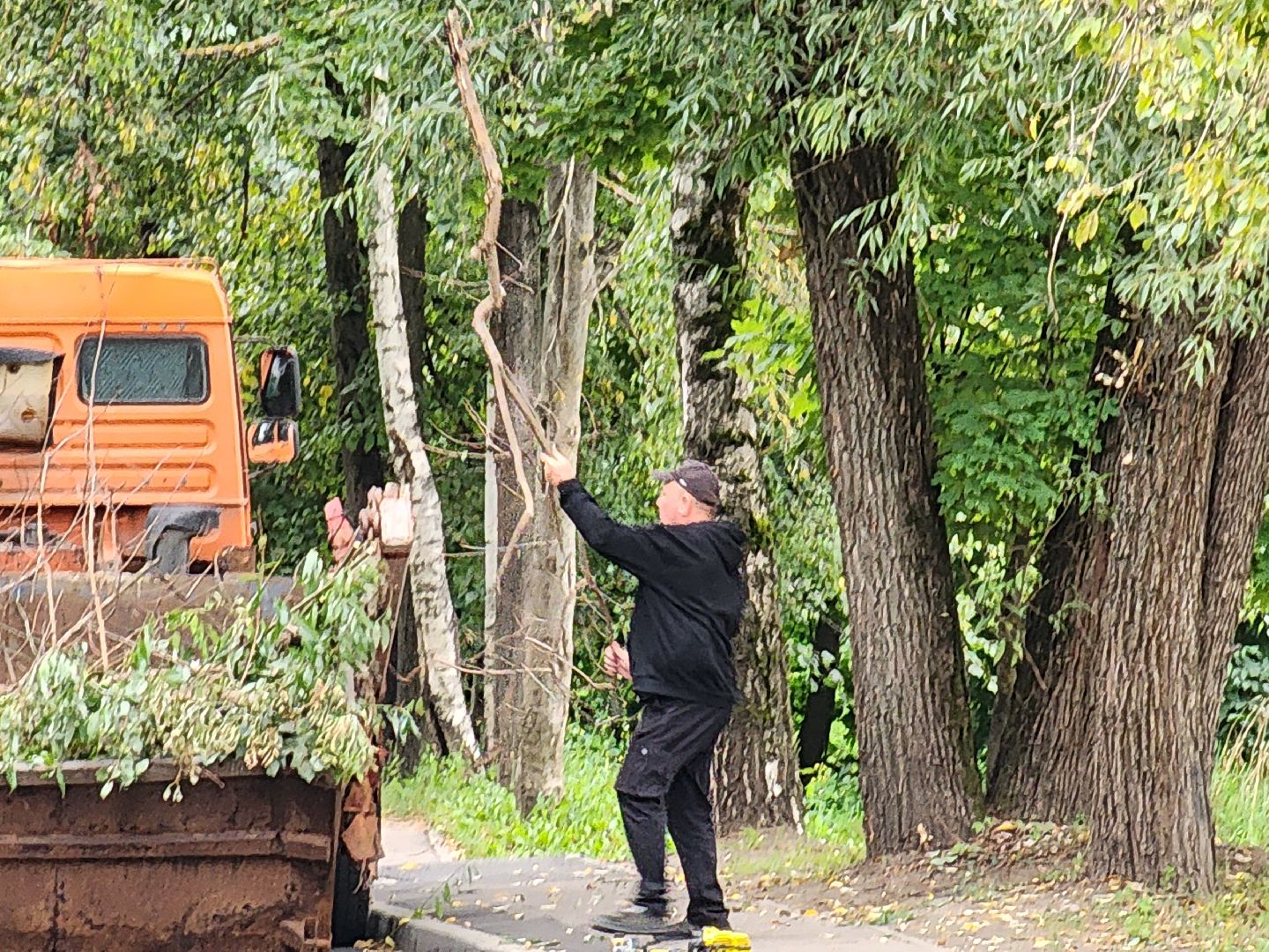 чехов, улица ильича, опиловка деревьев, уборка и вывоз веток,  содержание территории, мбу чеховское благоустройство, заявки жителей, портал добродел, весенне-летний сезон, содержание дорог и дворов, спецтехника, удаление сухостойных деревьев, удаление аварийных деревьев,уборка территории,