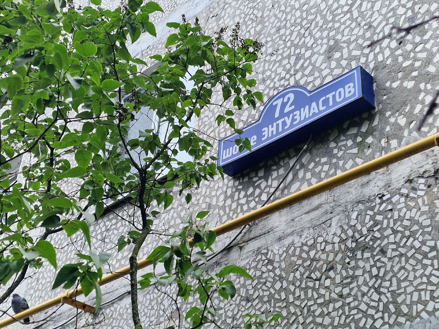 балашиха, микрорайон южный балашиха, площадка для выгула собак в микрорайоне южный,