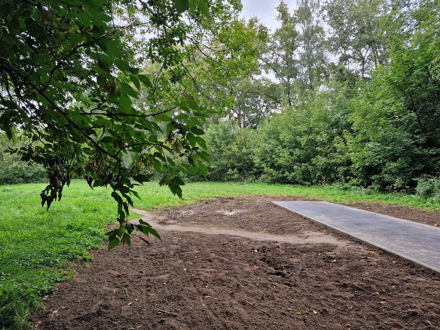 балашиха, микрорайон южный балашиха, площадка для выгула собак в микрорайоне южный,