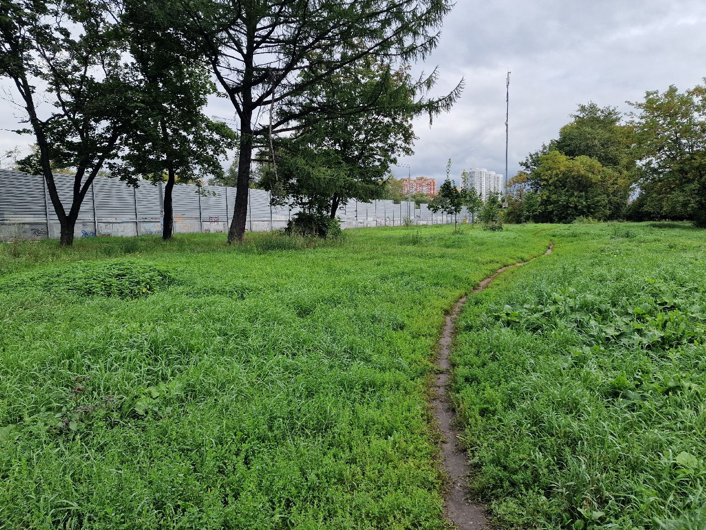 балашиха, микрорайон южный балашиха, площадка для выгула собак в микрорайоне южный,