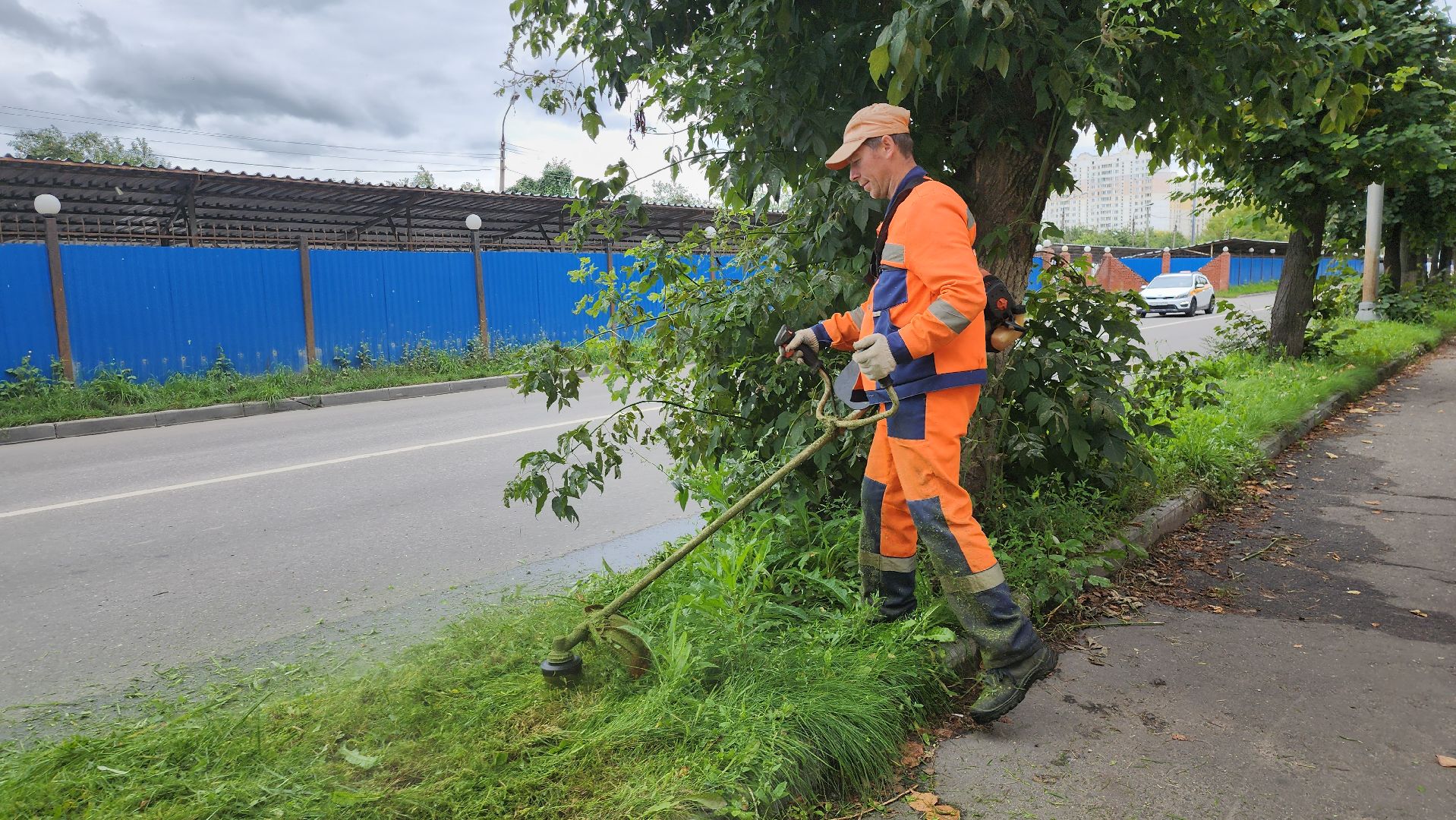 серпухов, подмосковье, покос травы,