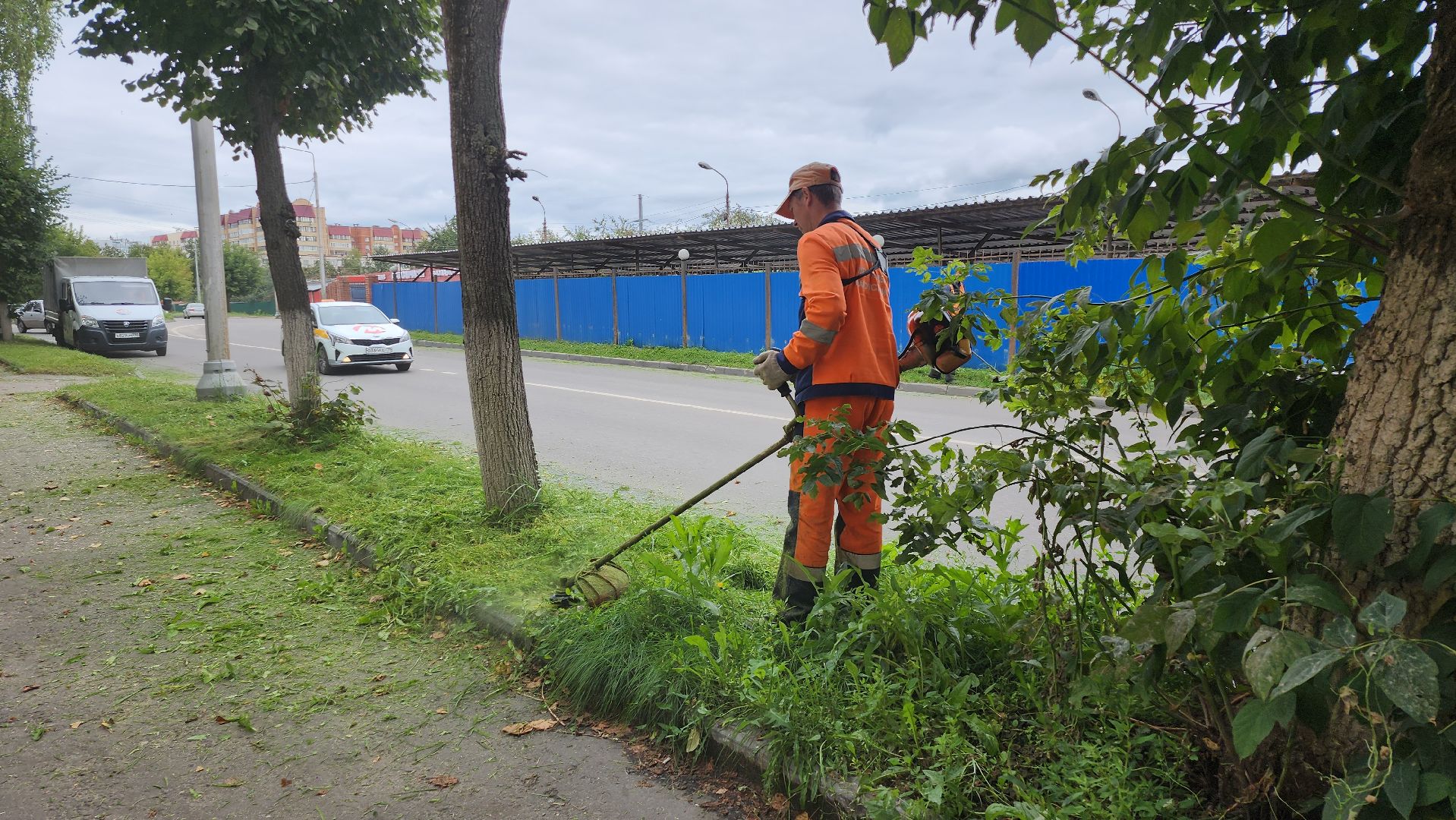 серпухов, подмосковье, покос травы,