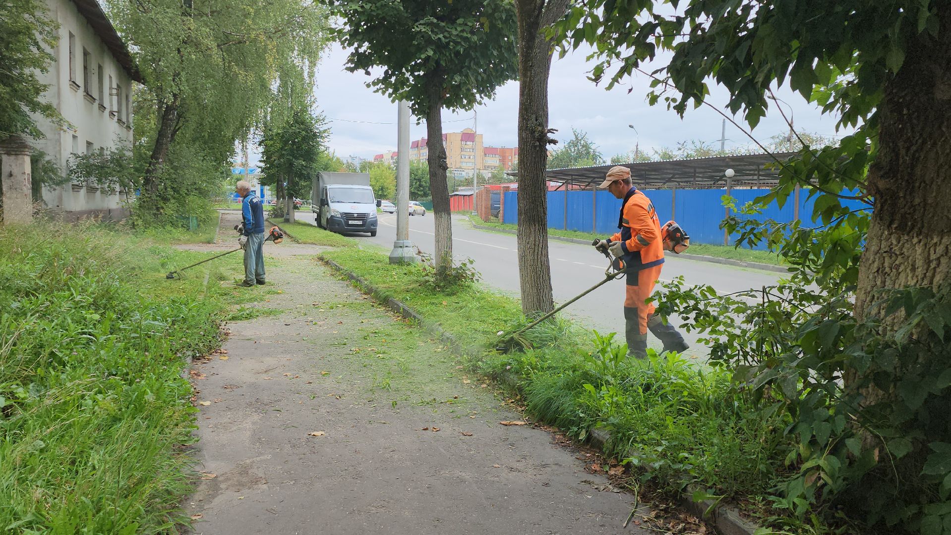 серпухов, подмосковье, покос травы,