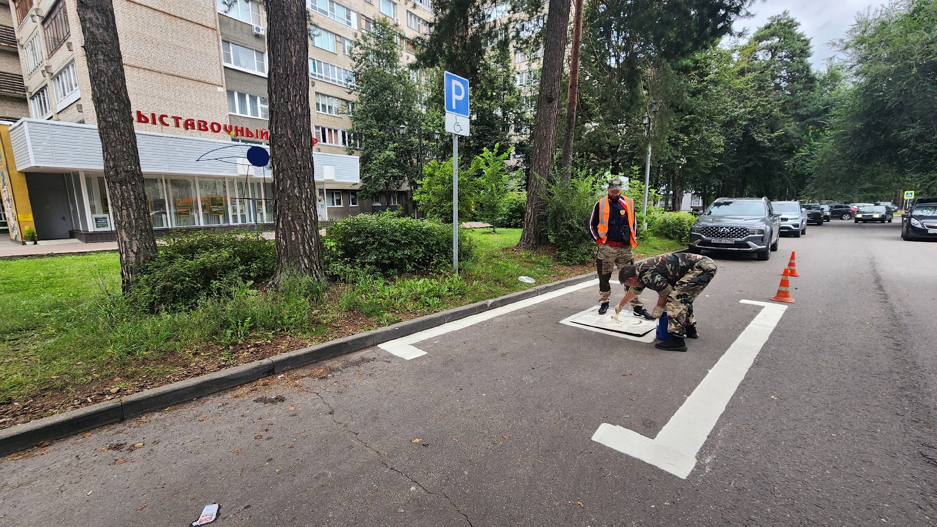 дорожная разметка, протвино, места для инвалидов,