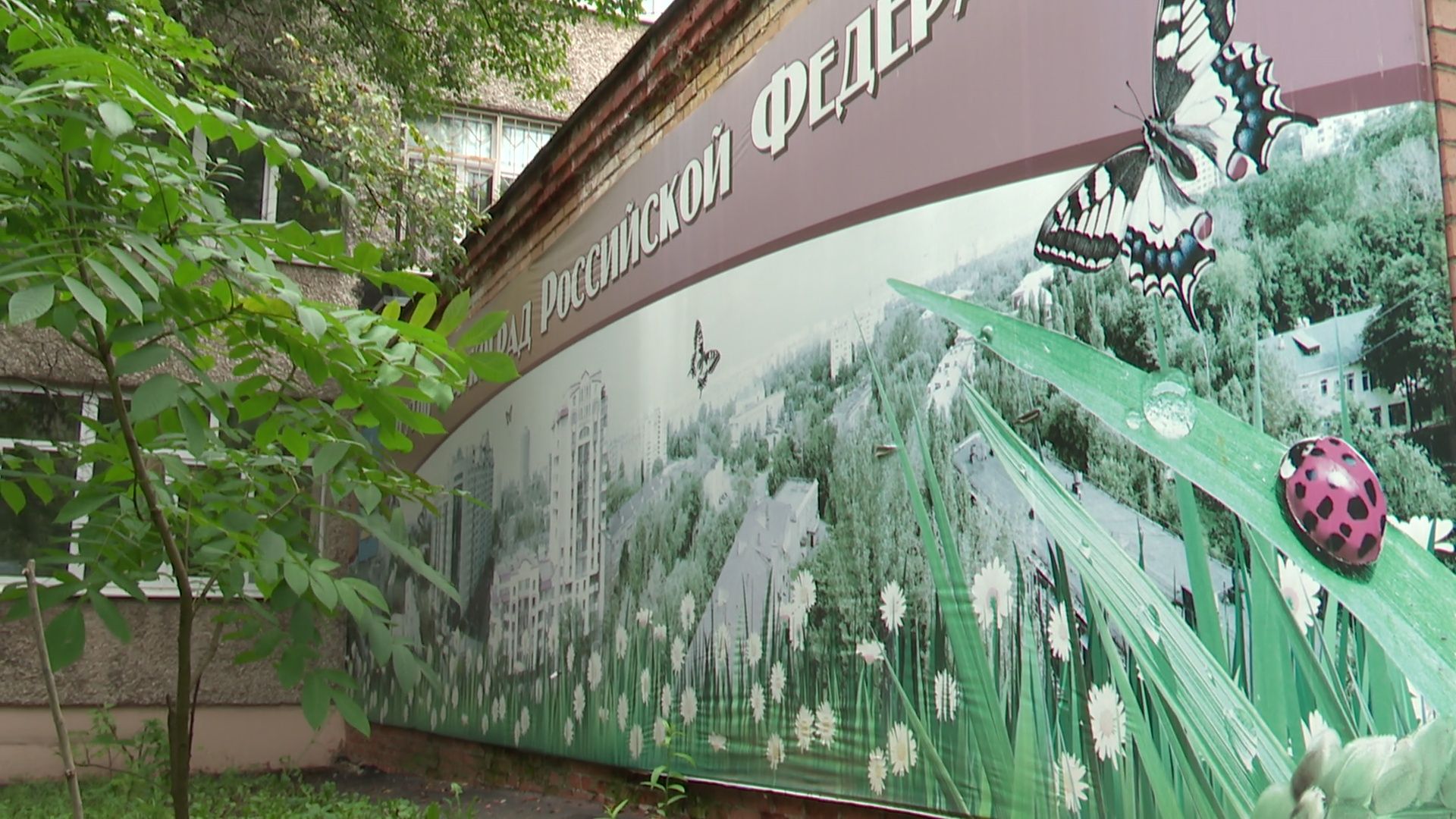 Реутов, обраование, ремонт, входная группа,