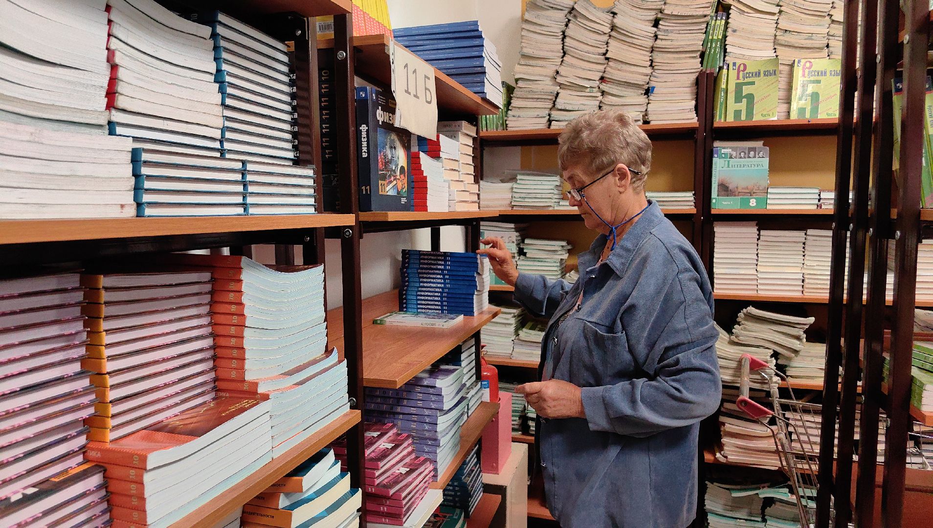 школа, библиотека, учебники,  книги,