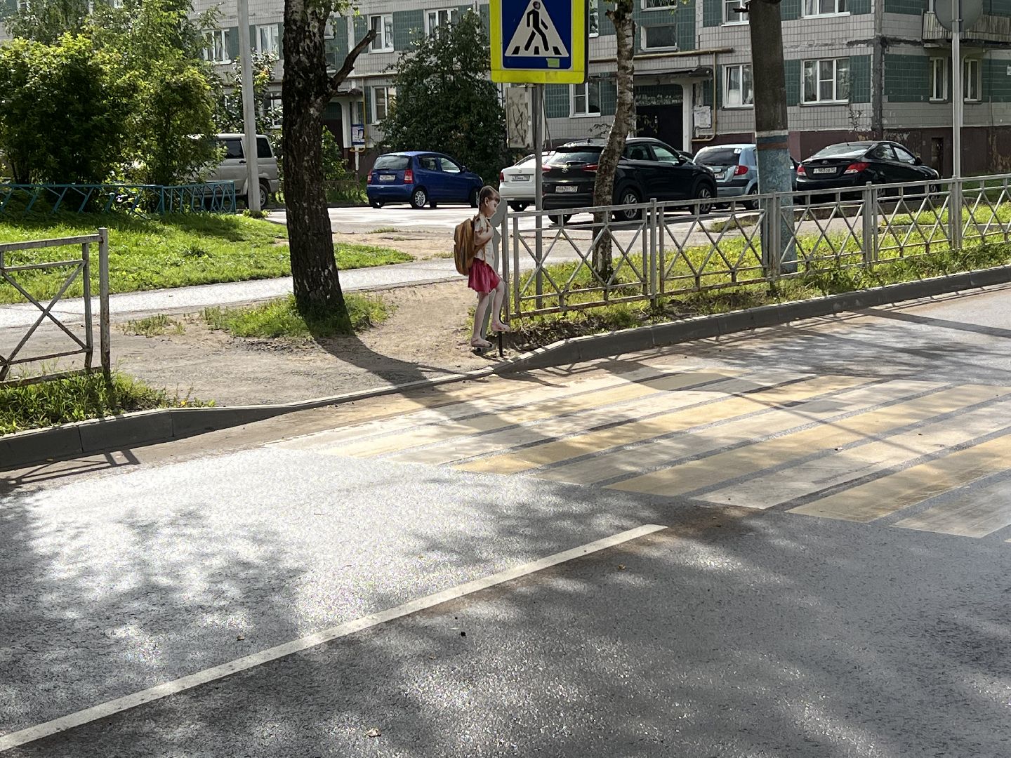 Запрудня , Дороги пешеход, талдомский городской округ,