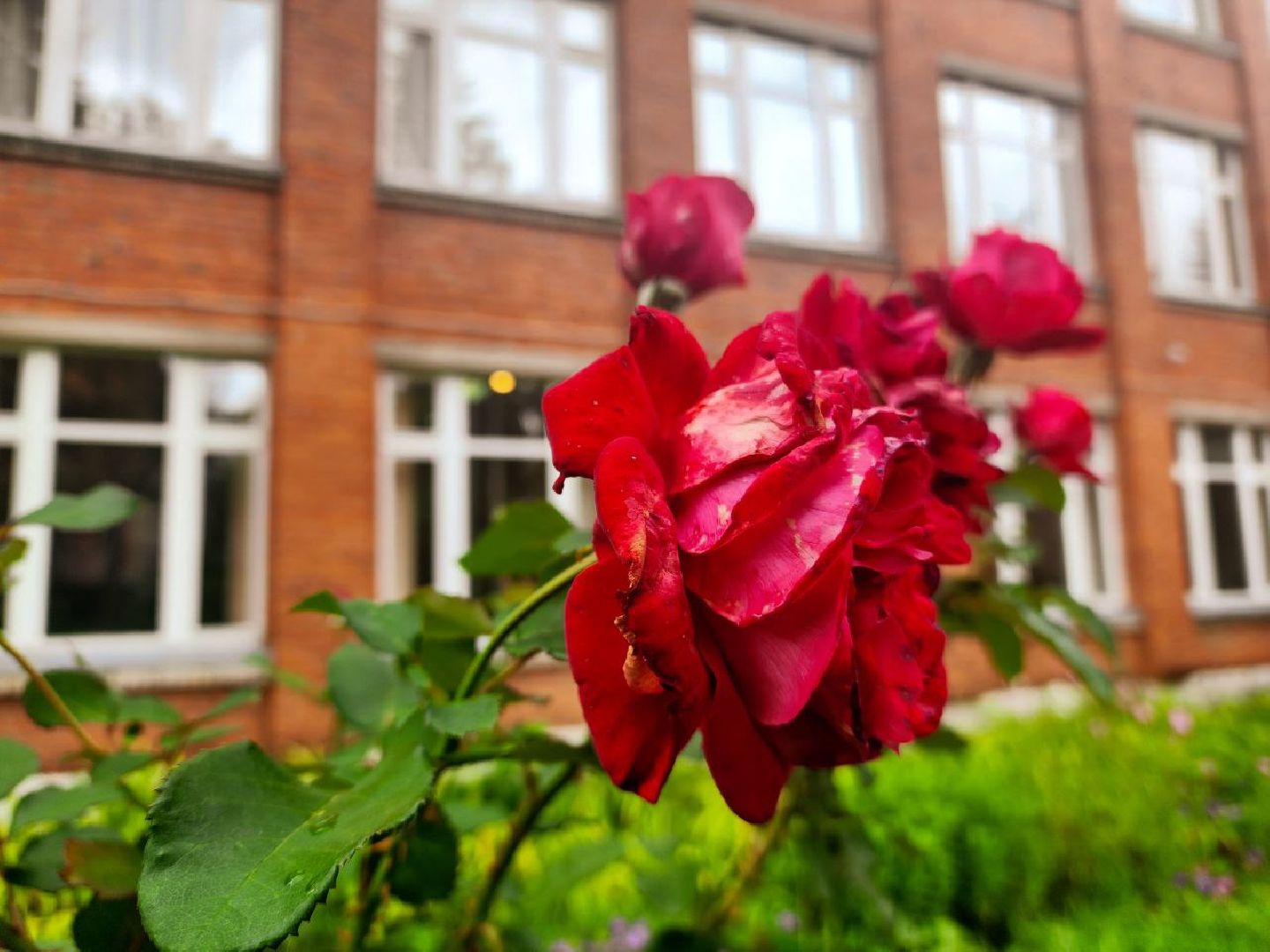 пущино, серпухов, образование, молодые педагоги,