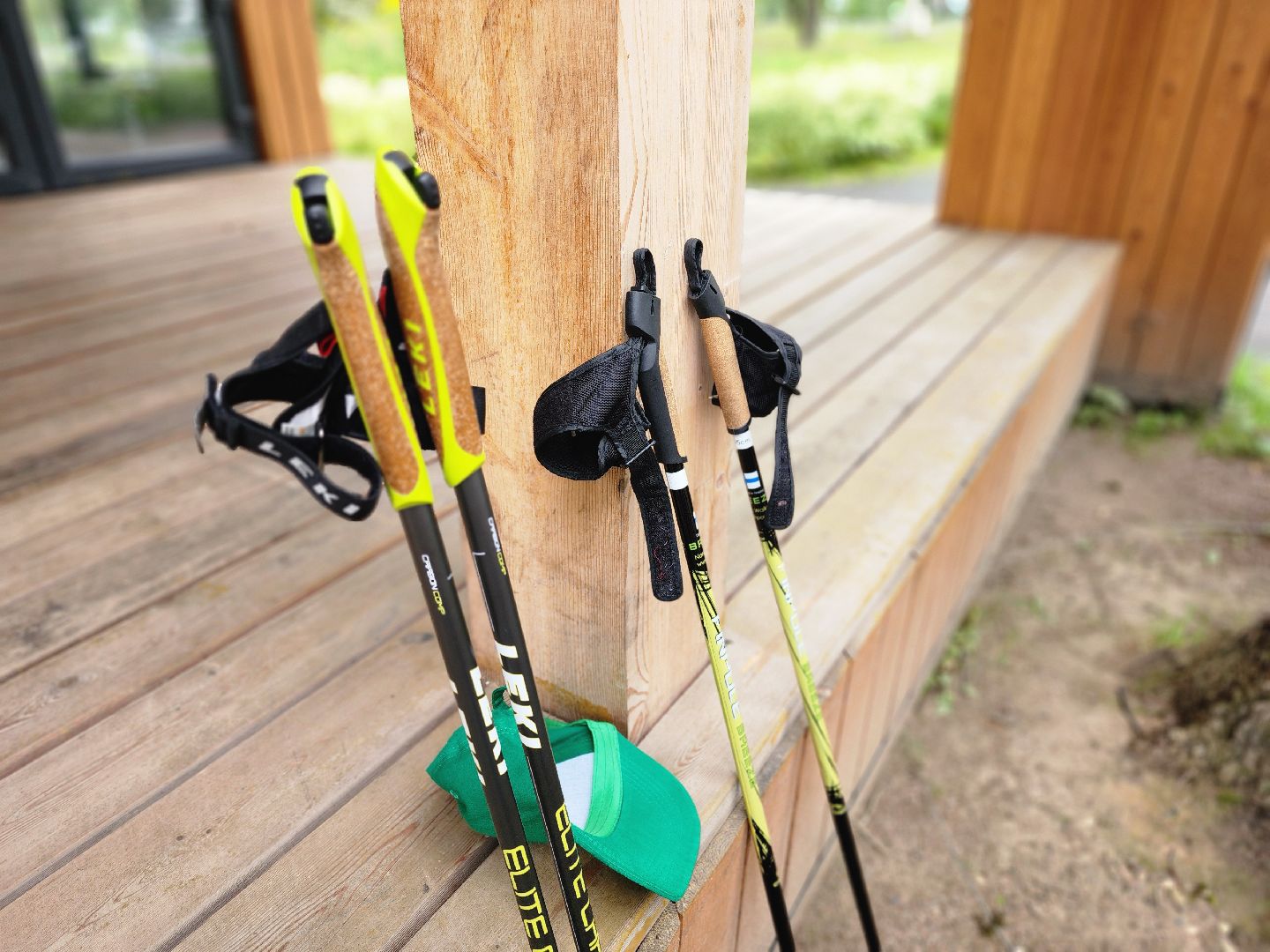 фрязино, профилактика заболеваний, активное долголетие, беседа,