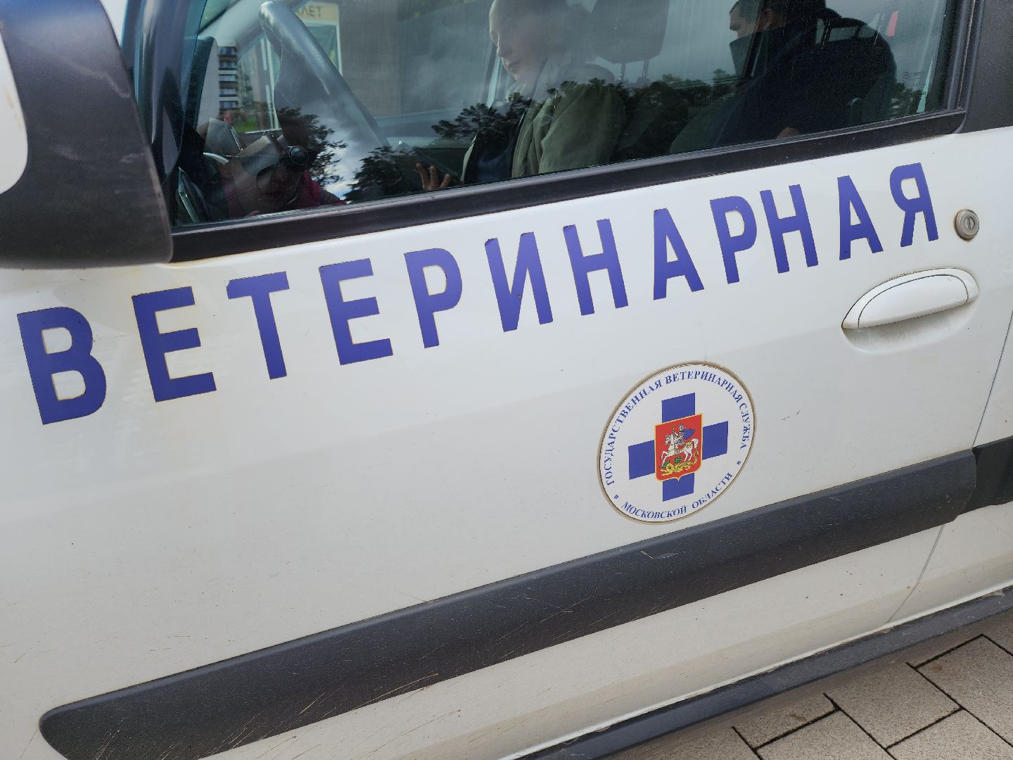 солнечногорск, вакцинация , животные , питомцы, прививка,