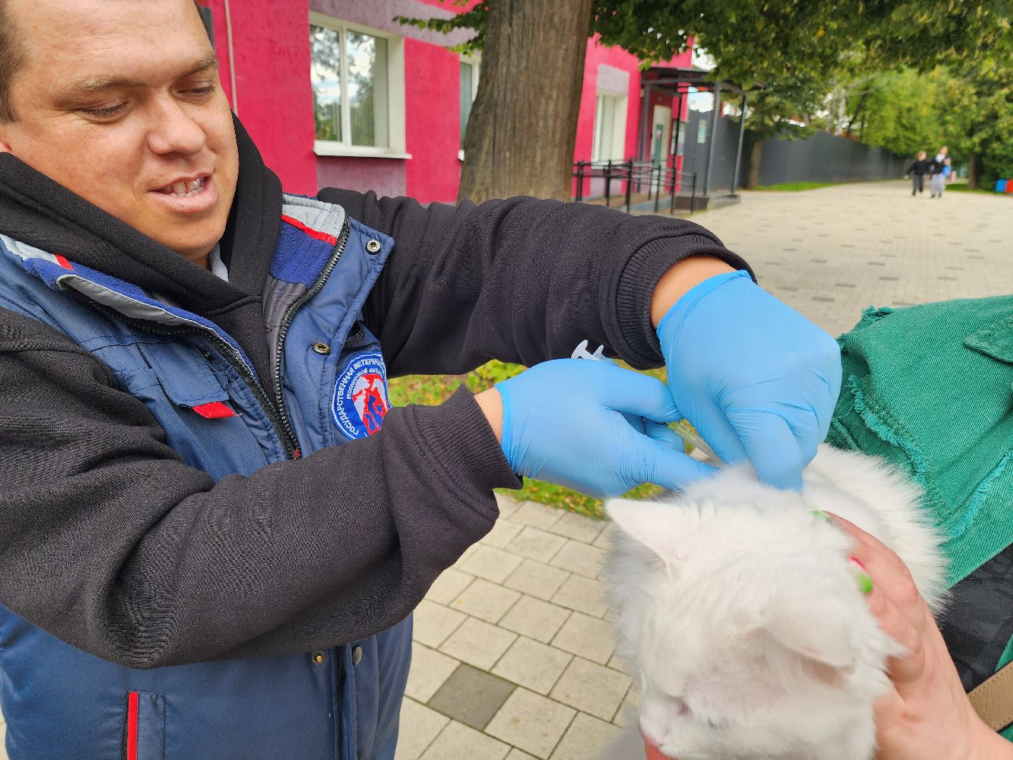солнечногорск, вакцинация , животные , питомцы, прививка,