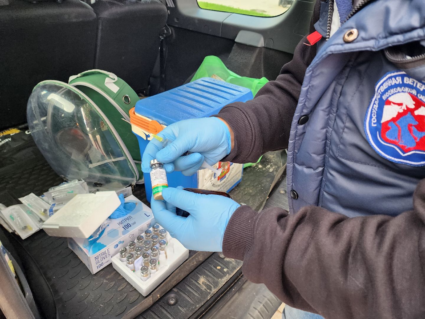 солнечногорск, вакцинация , животные , питомцы, прививка,