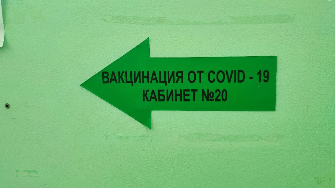 Кашира, общество