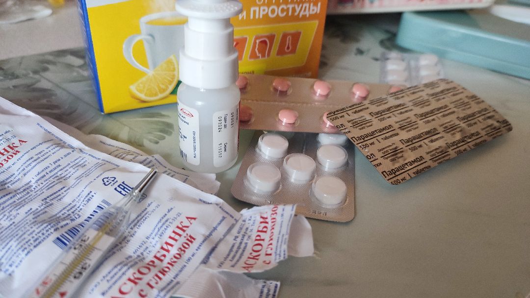 Кашира, общество