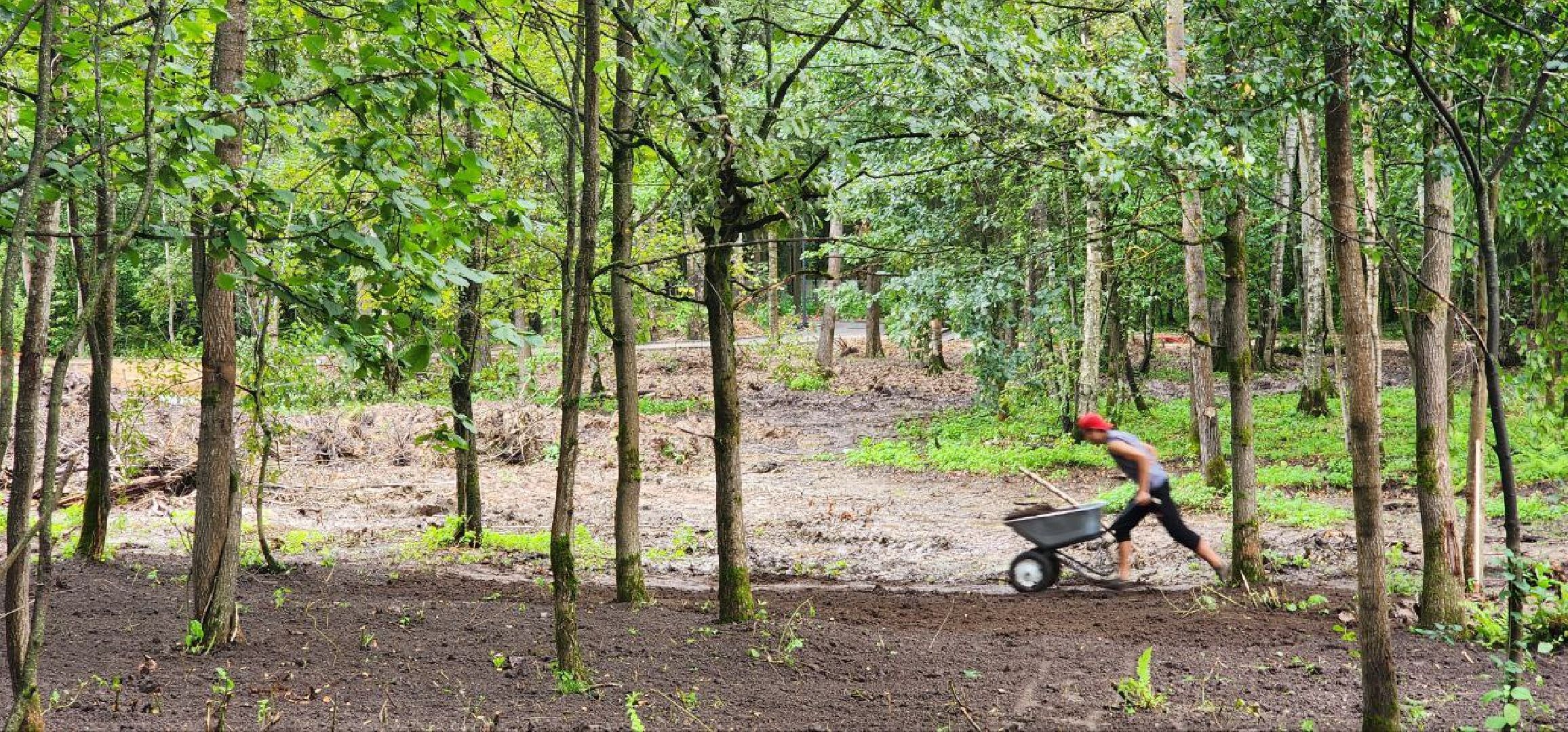 Дмитров, Некрасовский сквер, Безопасный регион,  Минблаго,