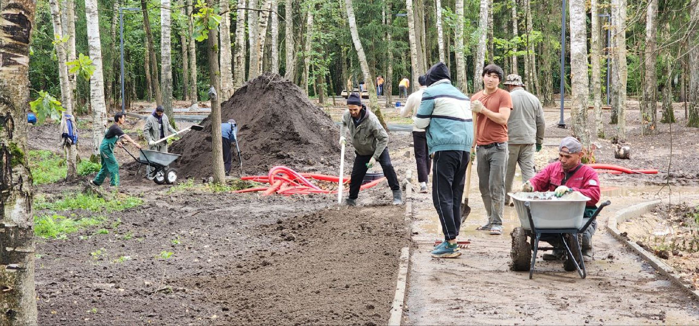 Дмитров, Некрасовский сквер, Безопасный регион,  Минблаго,