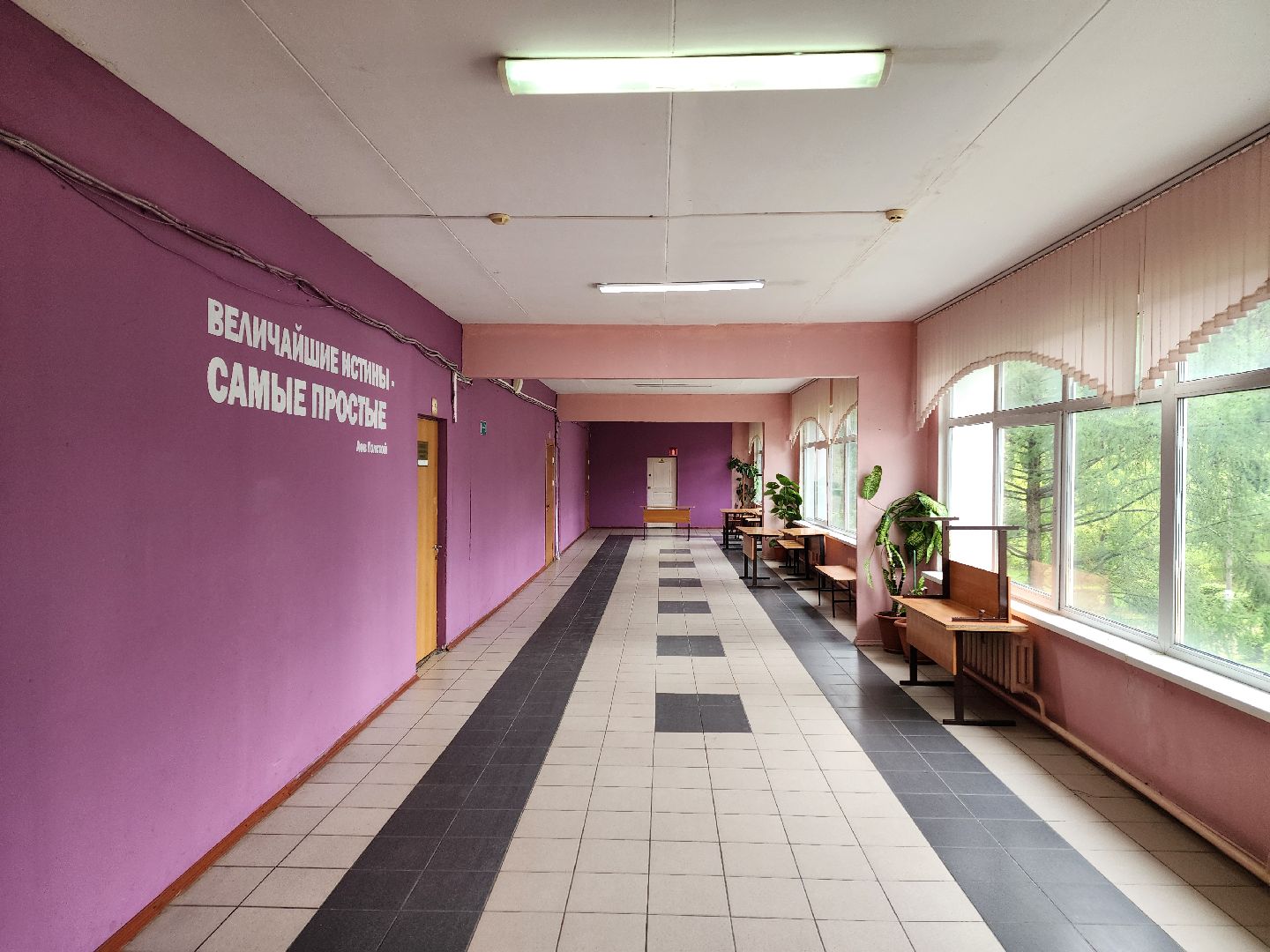 чехов, улица мира 7а, гимназия 7, подготовка к новому учебному году, кабинеты, учебники, книгообеспеченность, меню в столовой, новые блюда, текущий ремонт помещений, уборка, оборудование и мебель,директор гимназии елена рубцова,педагоги и учителя,